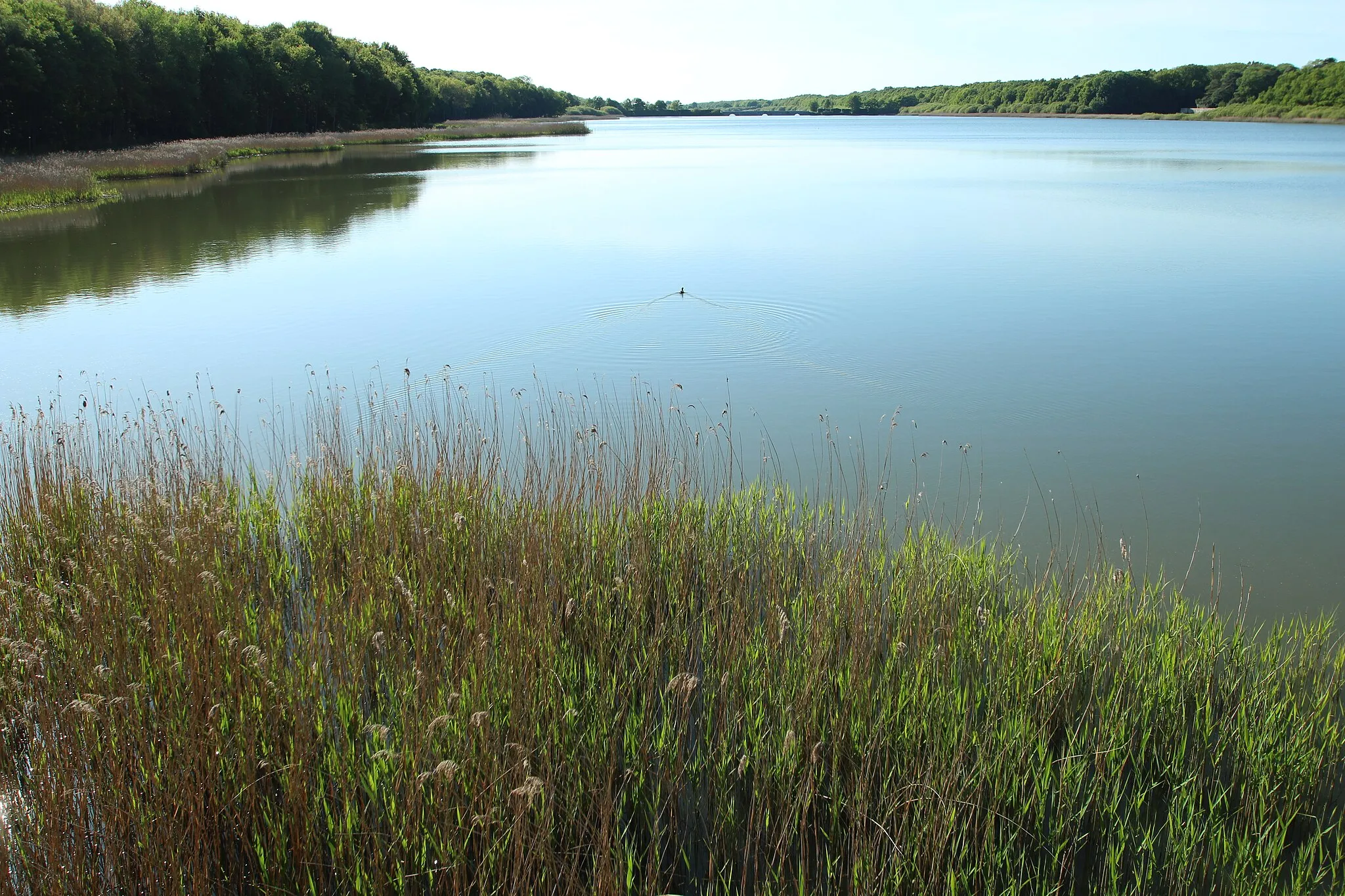 Photo showing: View of the Saint-Hubert pond in Le Perray-en-Yvelines, France.