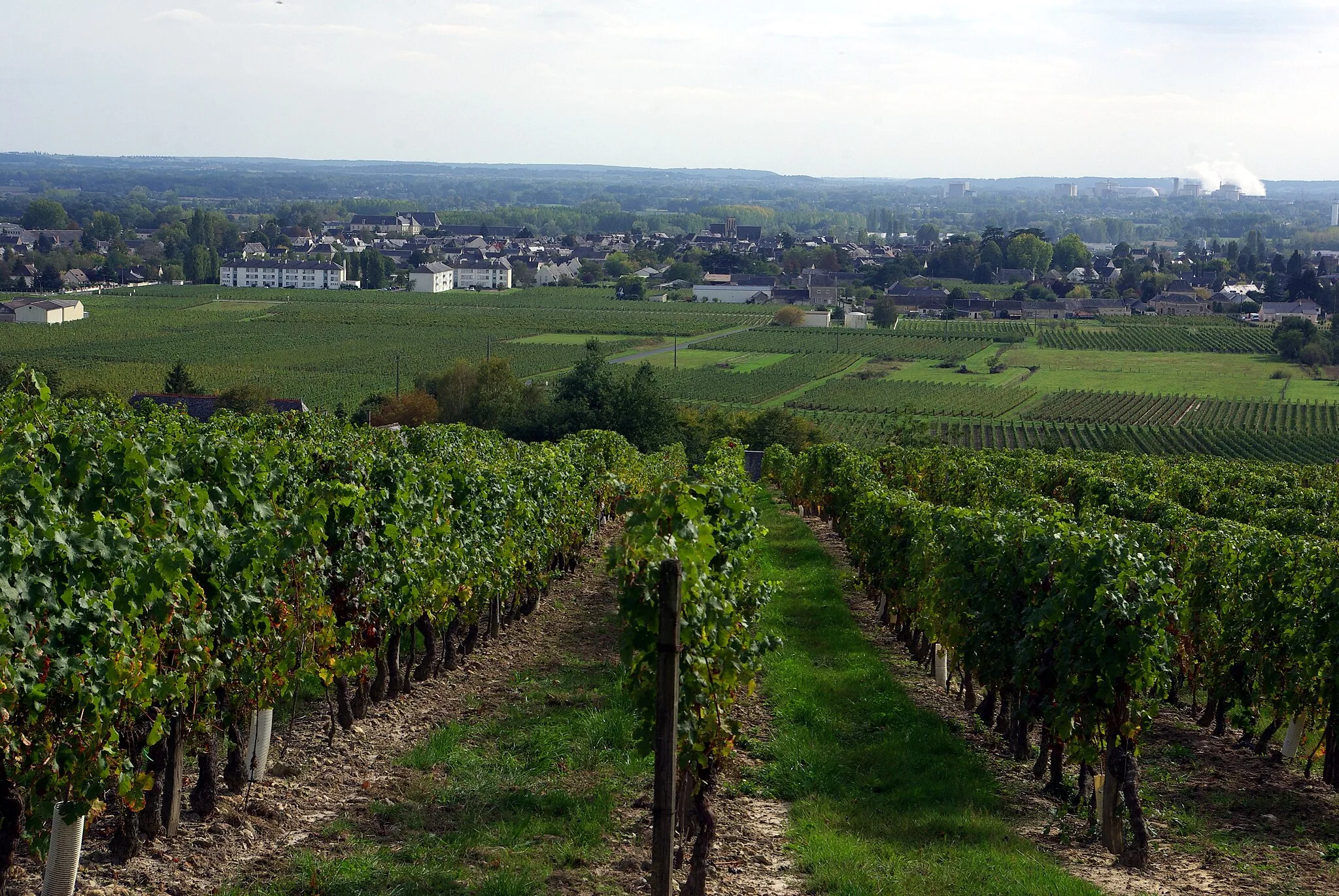 Photo showing: Bourgueil depuis le Moulin Bleu. Dans le fond on distingue la centrale nucléaire de Chinon.