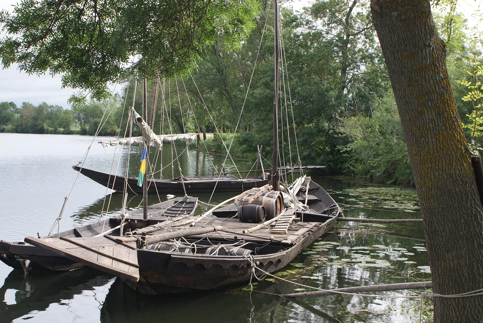 Photo showing: Scute de savonnieres (37) en France - Dame Périnelle - sur les berges du Cher