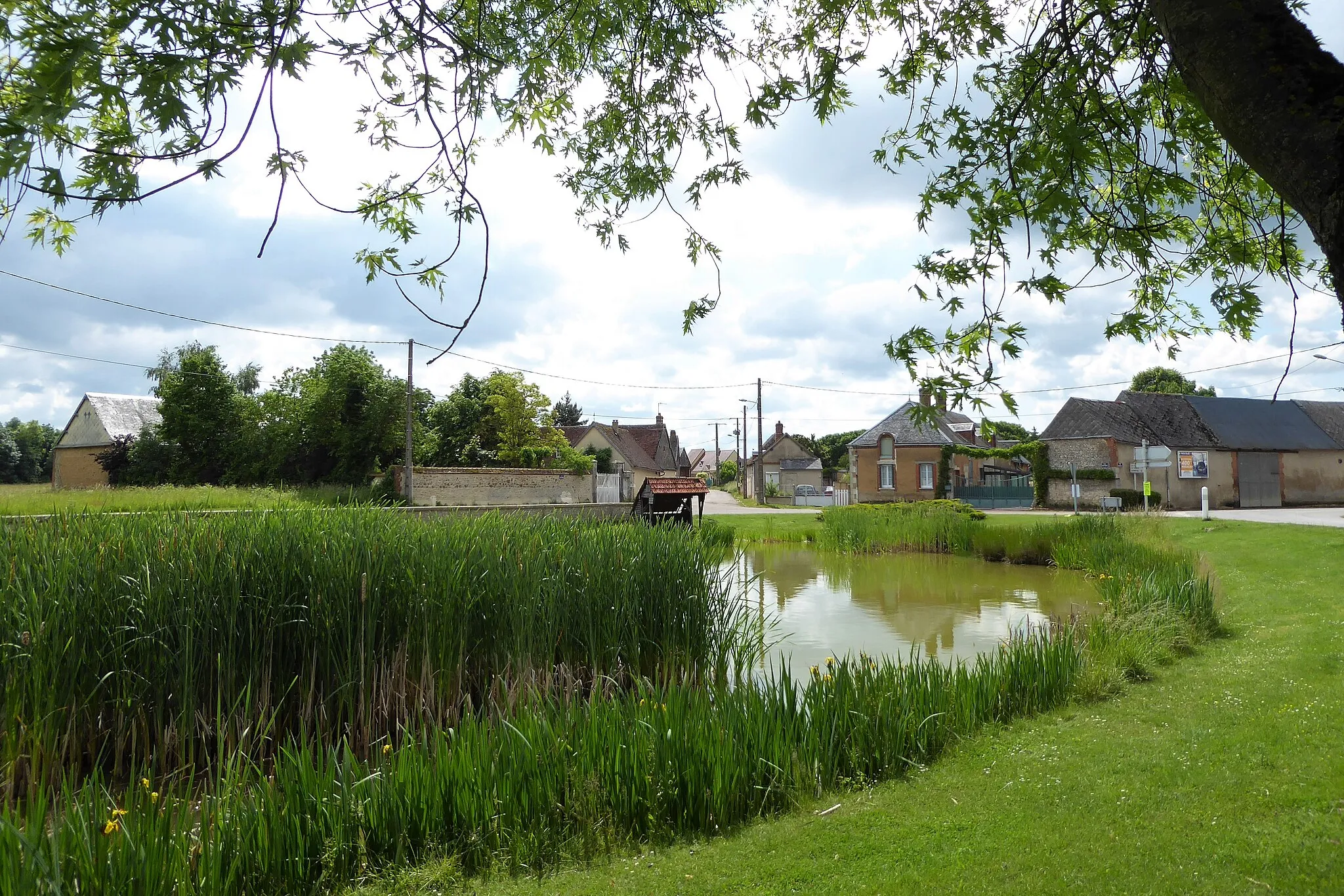 Photo showing: mare de Plancheville, le Gault-Saint-Denis Eure-et-Loir France