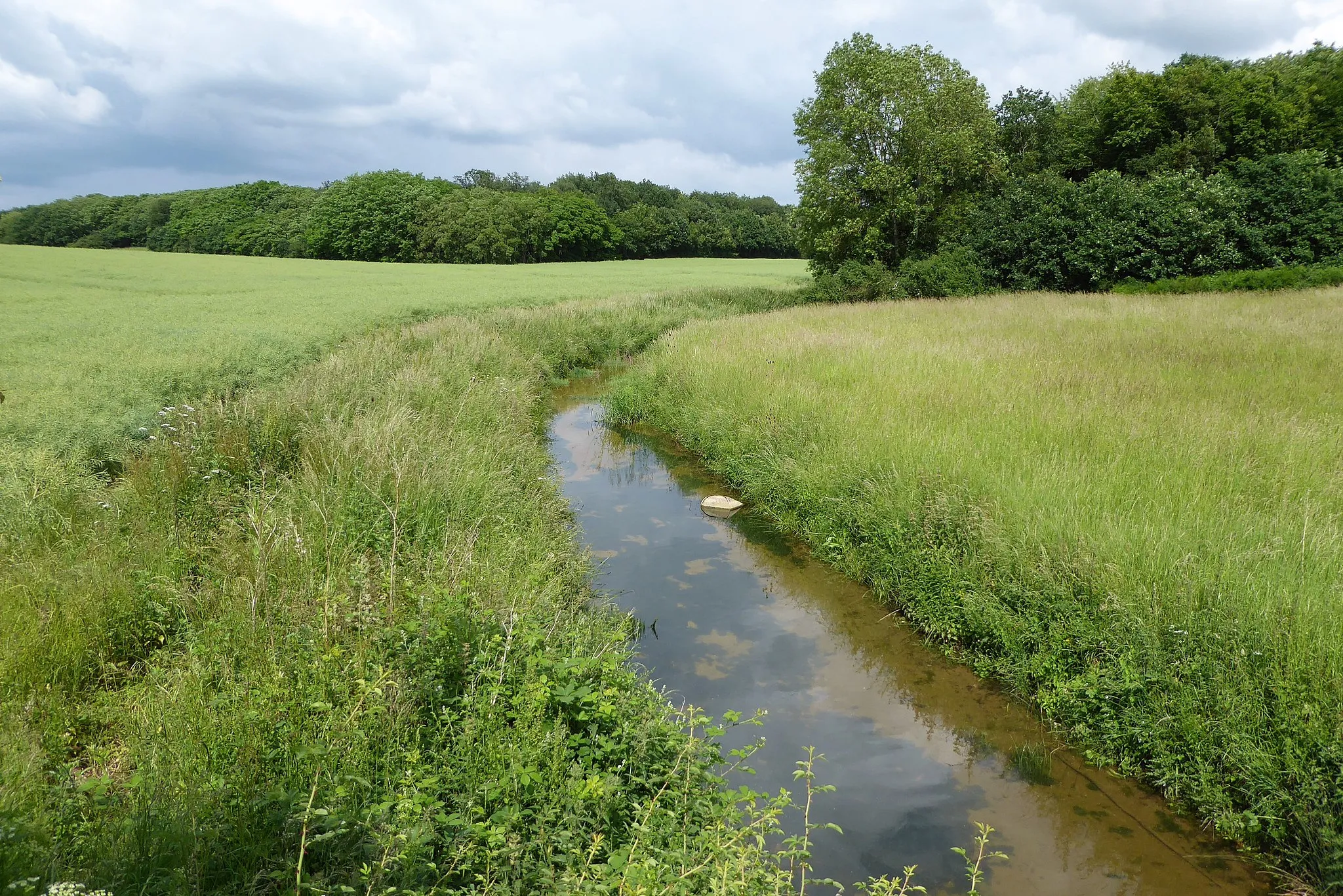 Photo showing: le ruisseau de Boncé en aval de la route départementale 123, le Gault-Saint-Denis, Eure-et-Loir, France.