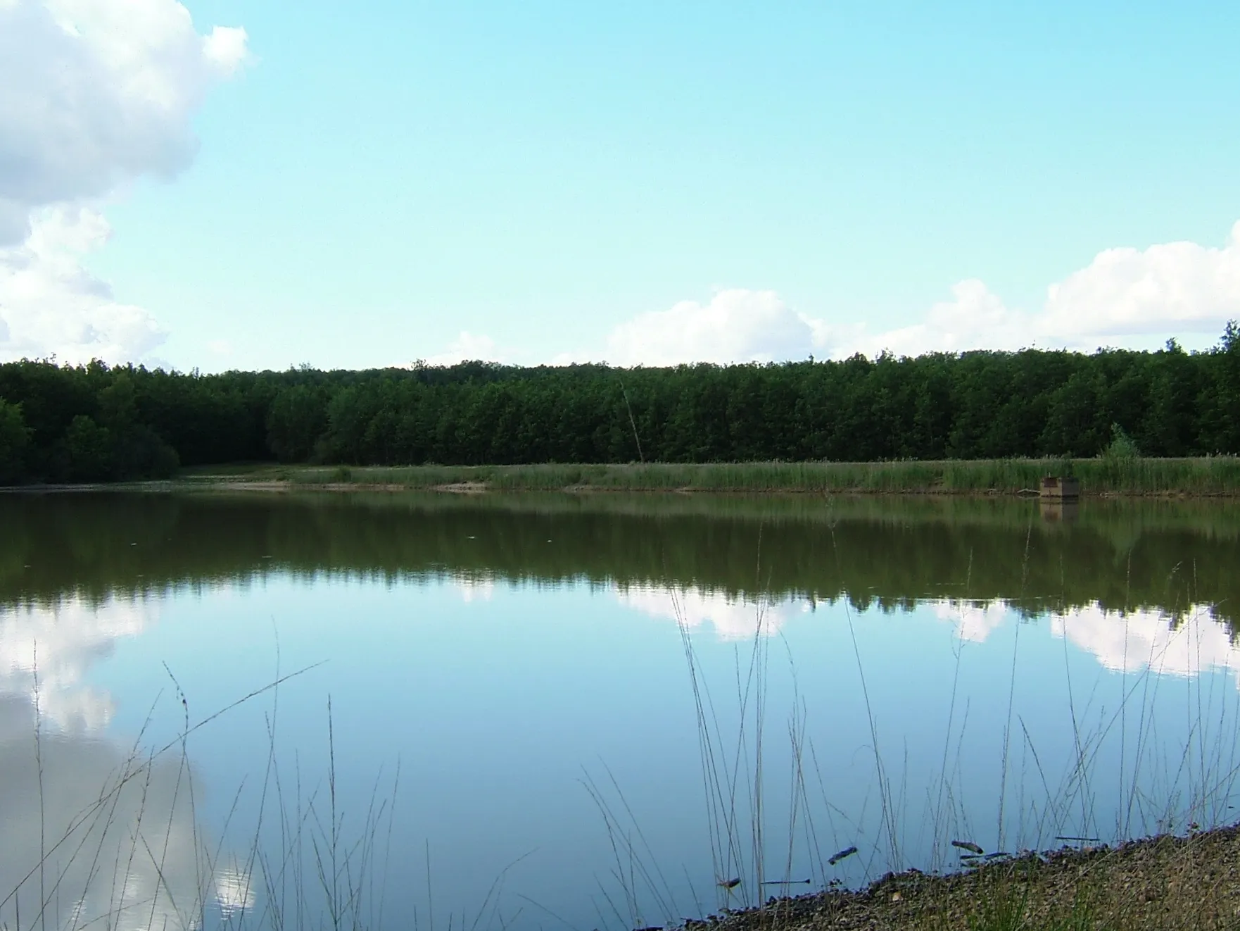 Photo showing: Etang du Pas aux Ânes