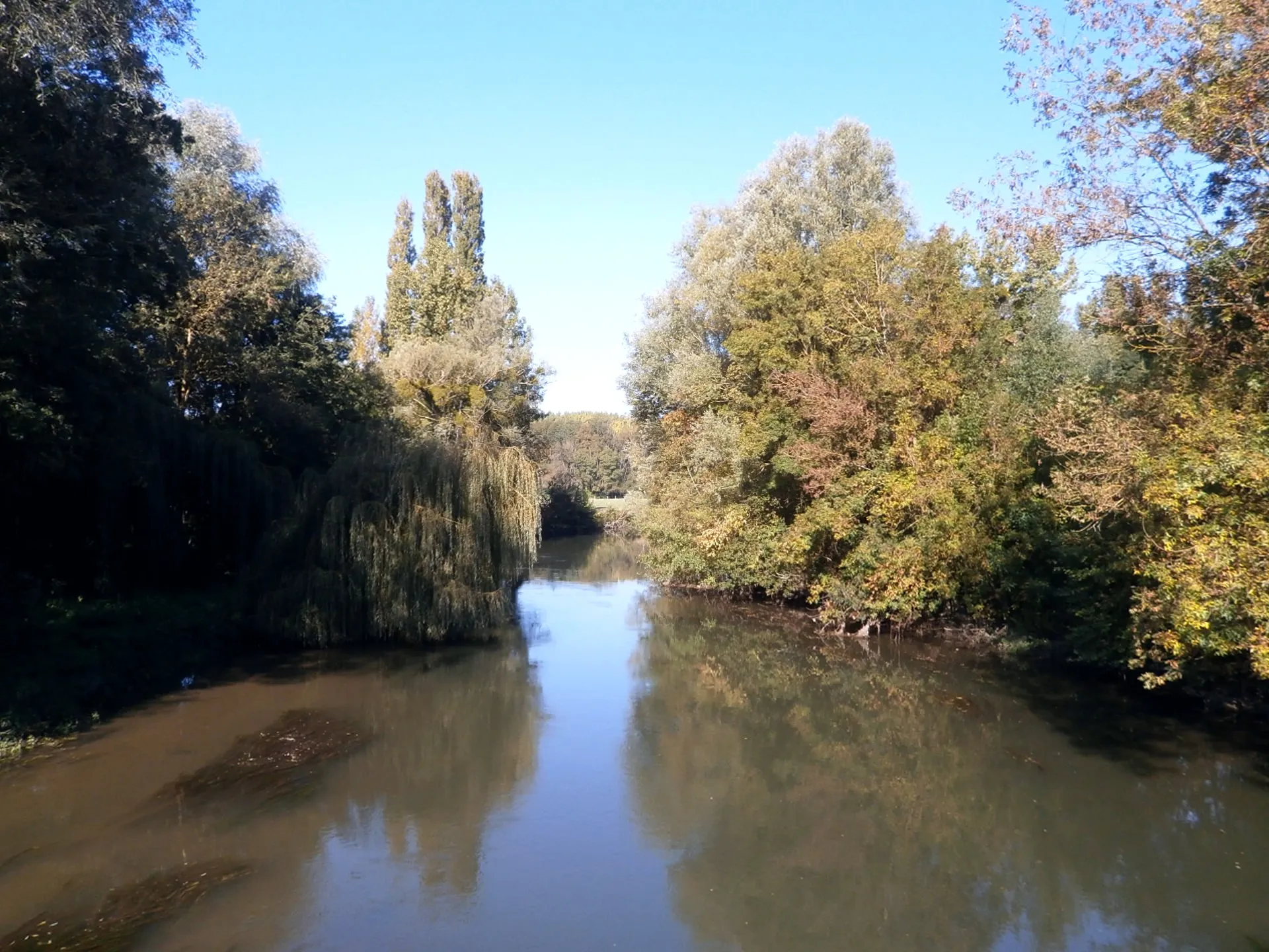 Photo showing: L'indre à Chambourg-sur-Indre