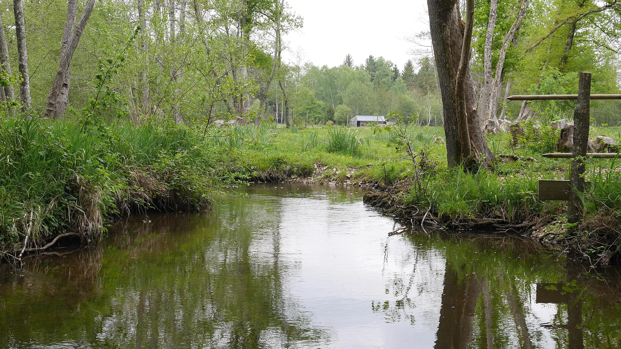 Photo showing: Le Barangeon à Neuvy sur Barangeon