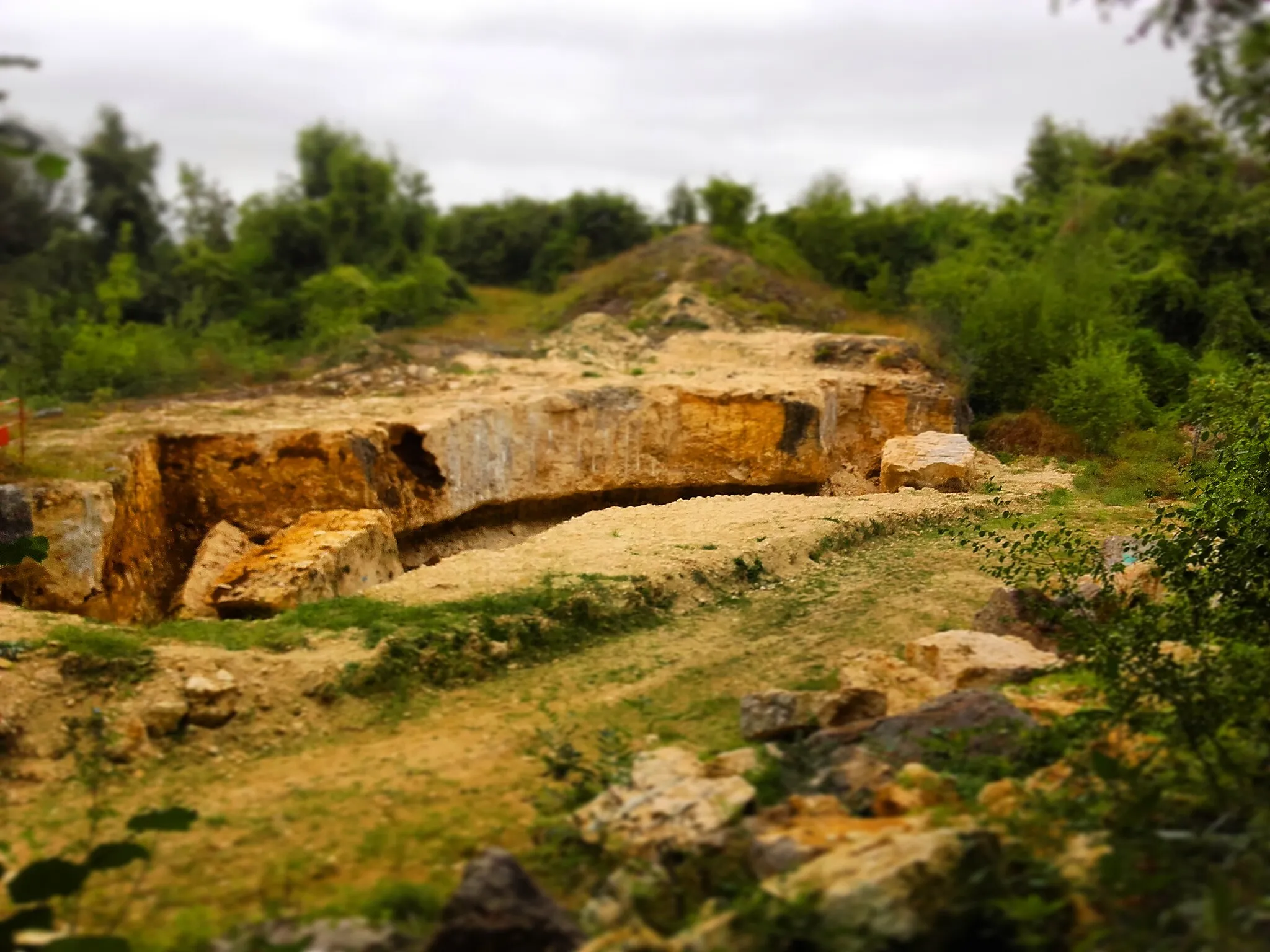 Photo showing: La carrière de Berchères-les-Pierres dans le bois de la Garenne, front le plus récent, Eure-et-Loir (France).