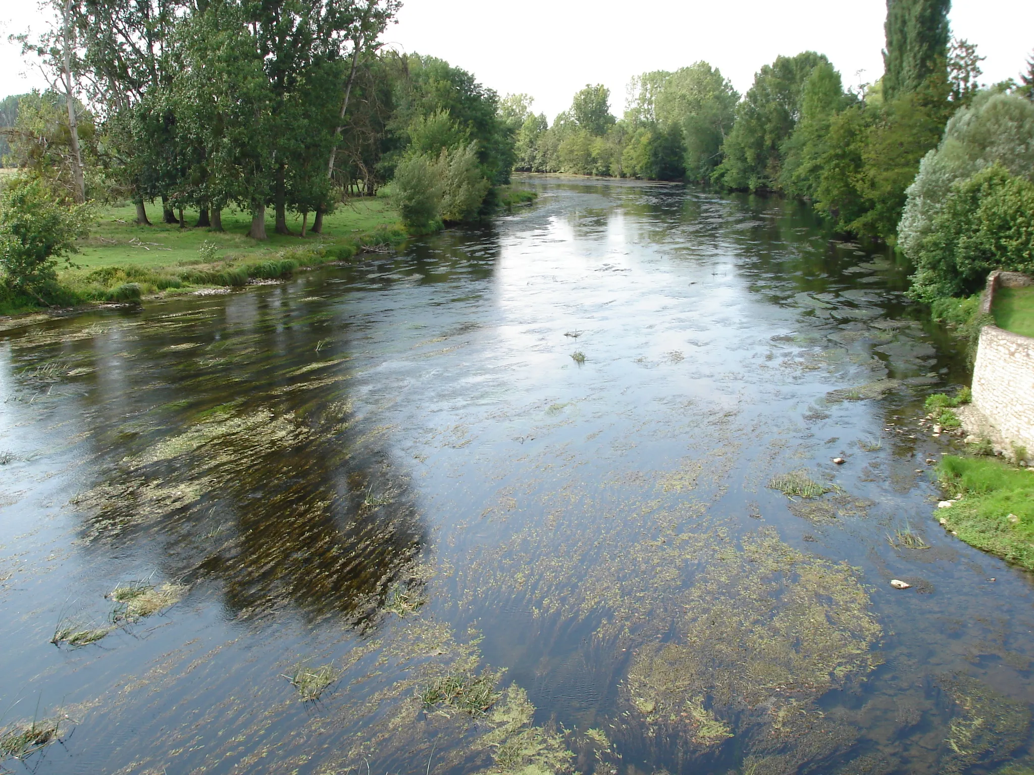 Photo showing: La rivière Creuse, en direction de Tournon-Saint-Pierre, à Tournon-Saint-Martin (36).