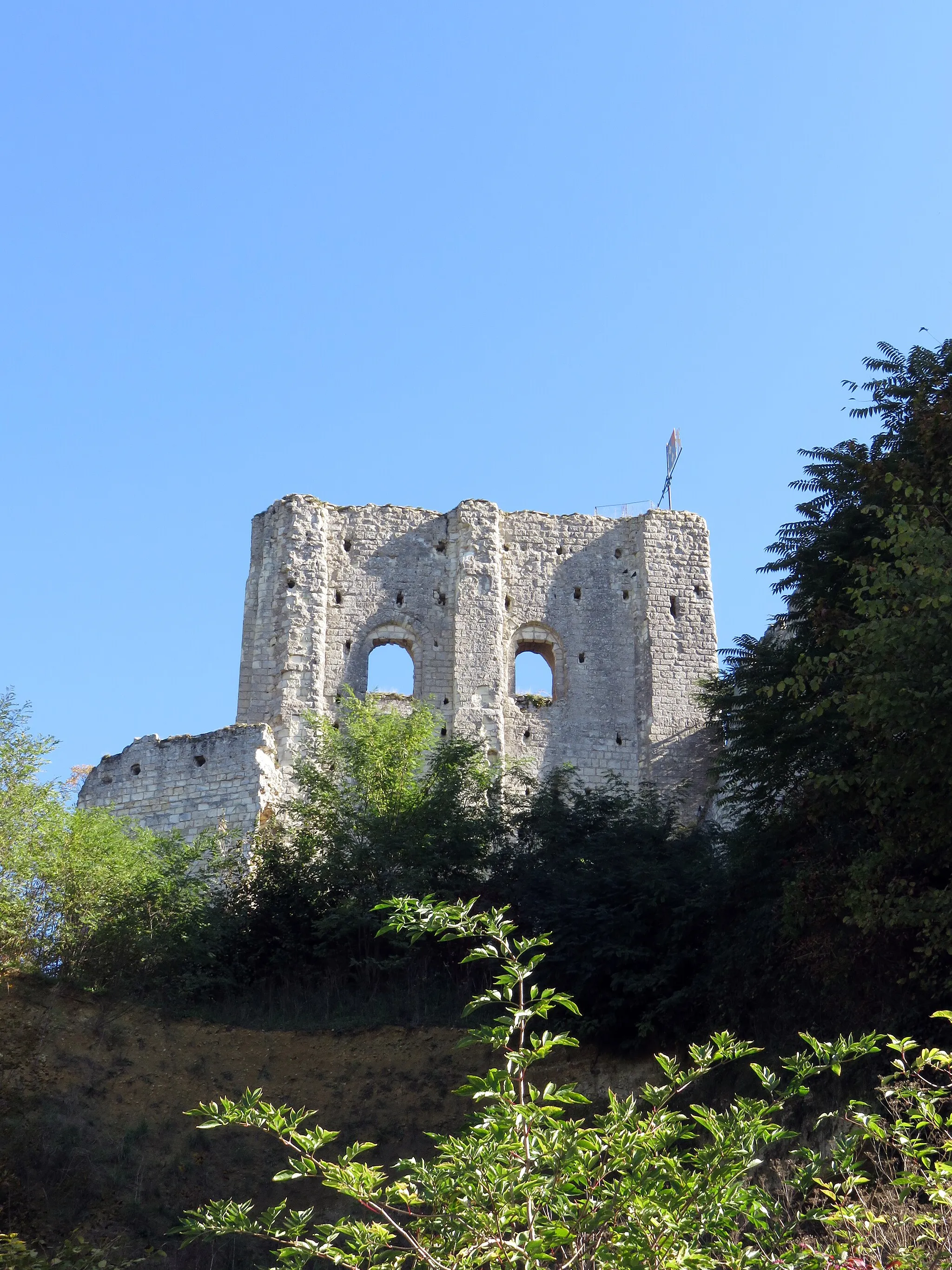 Photo showing: Le célèbre donjon appelé aussi "Tour carrée" du château médiéval qui domine le Cher et la belle commune de Montrichard en Touraine.