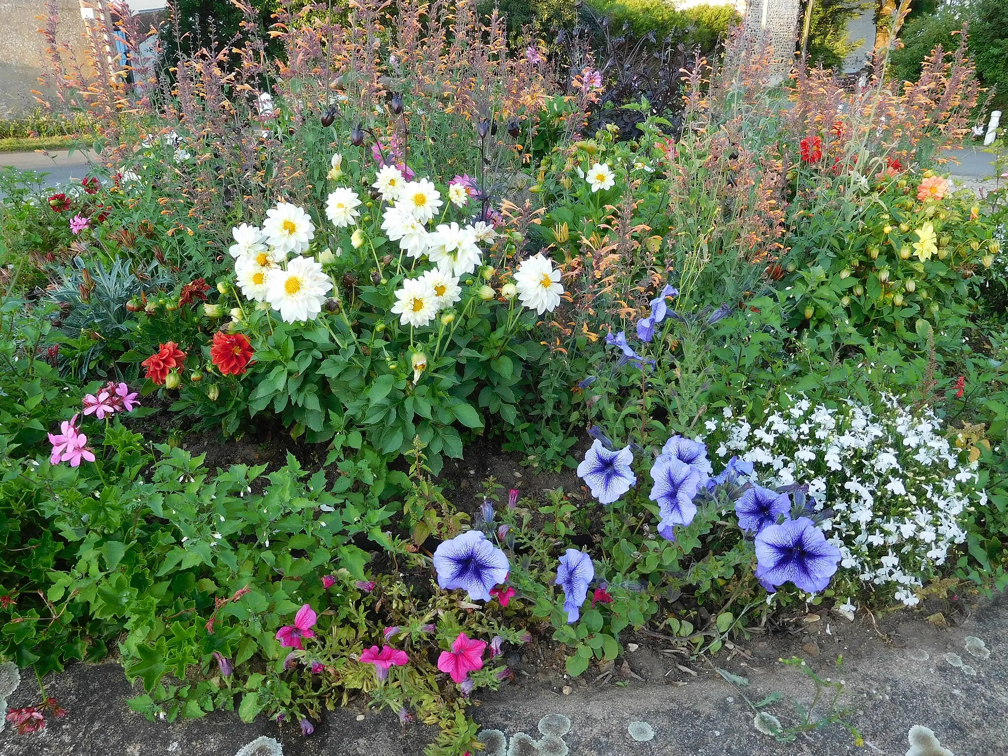 Photo showing: Rond fleuri (détail de la partie supérieure) ; Le Claudi, Menetou-Râtel, Cher, France.