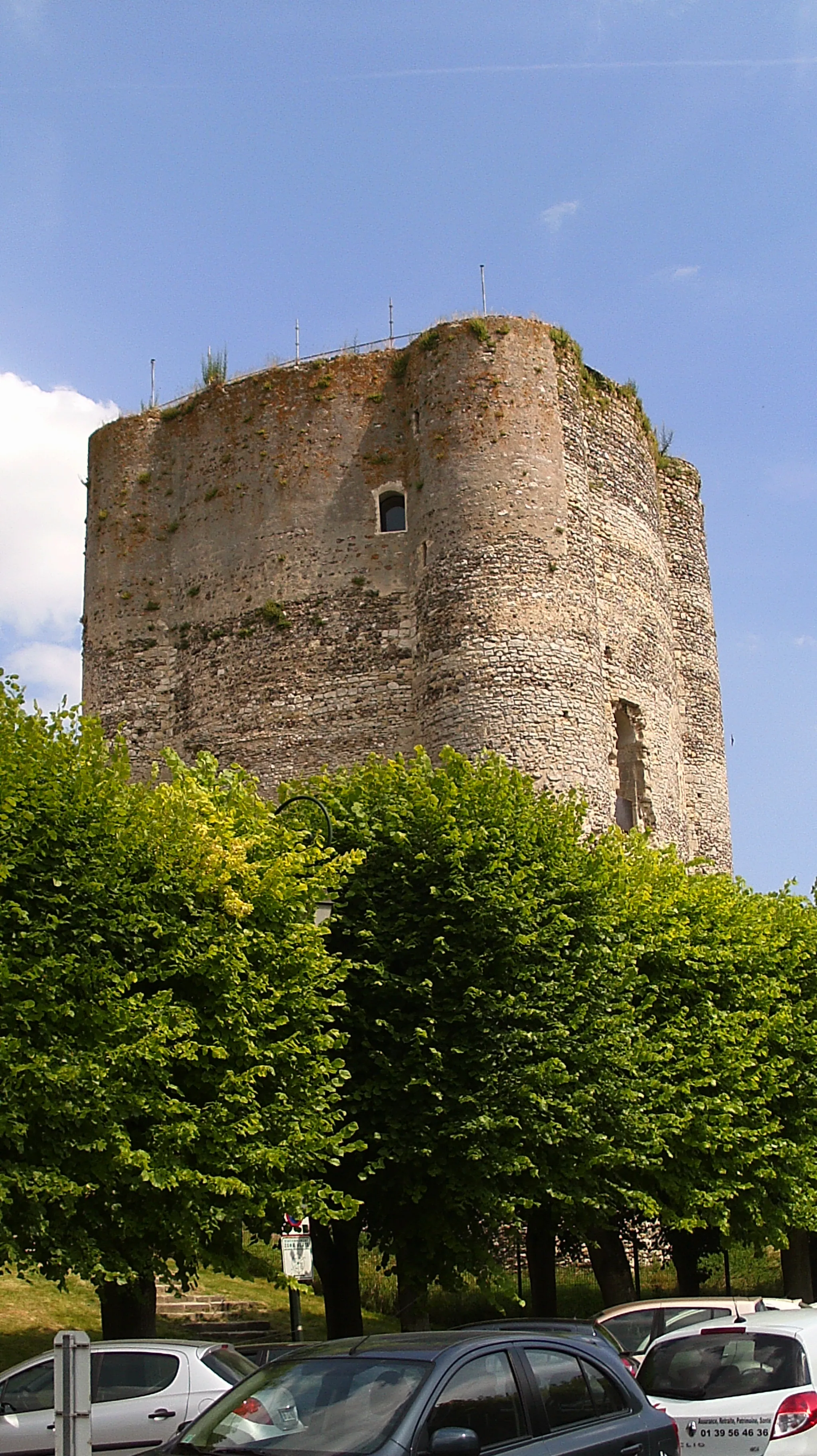 Photo showing: Le donjon de Houdan est une tour fortifiée médiévale située à Houdan dans les Yvelines.