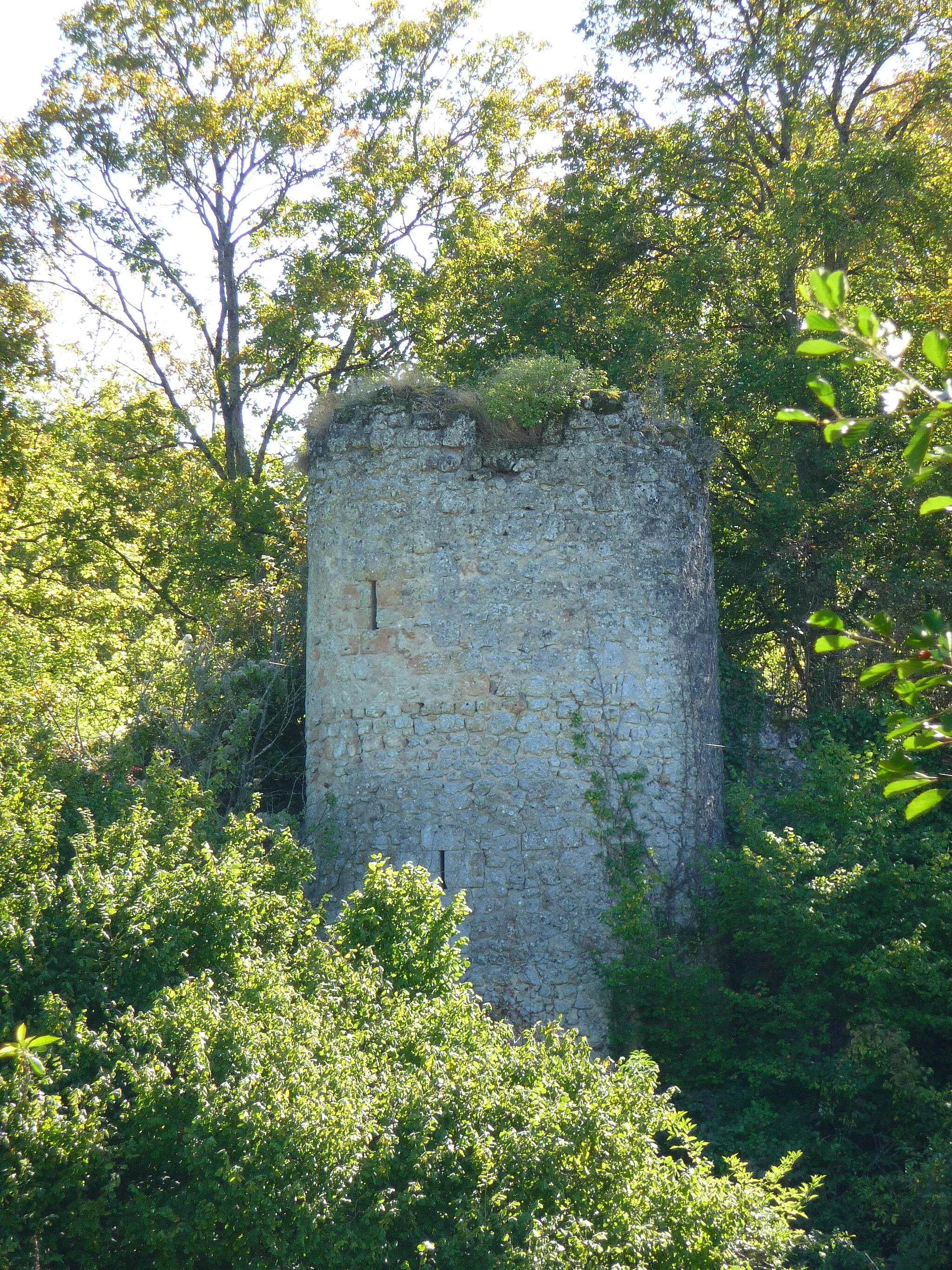 Photo showing: Vue d'une tour d'enceinte.