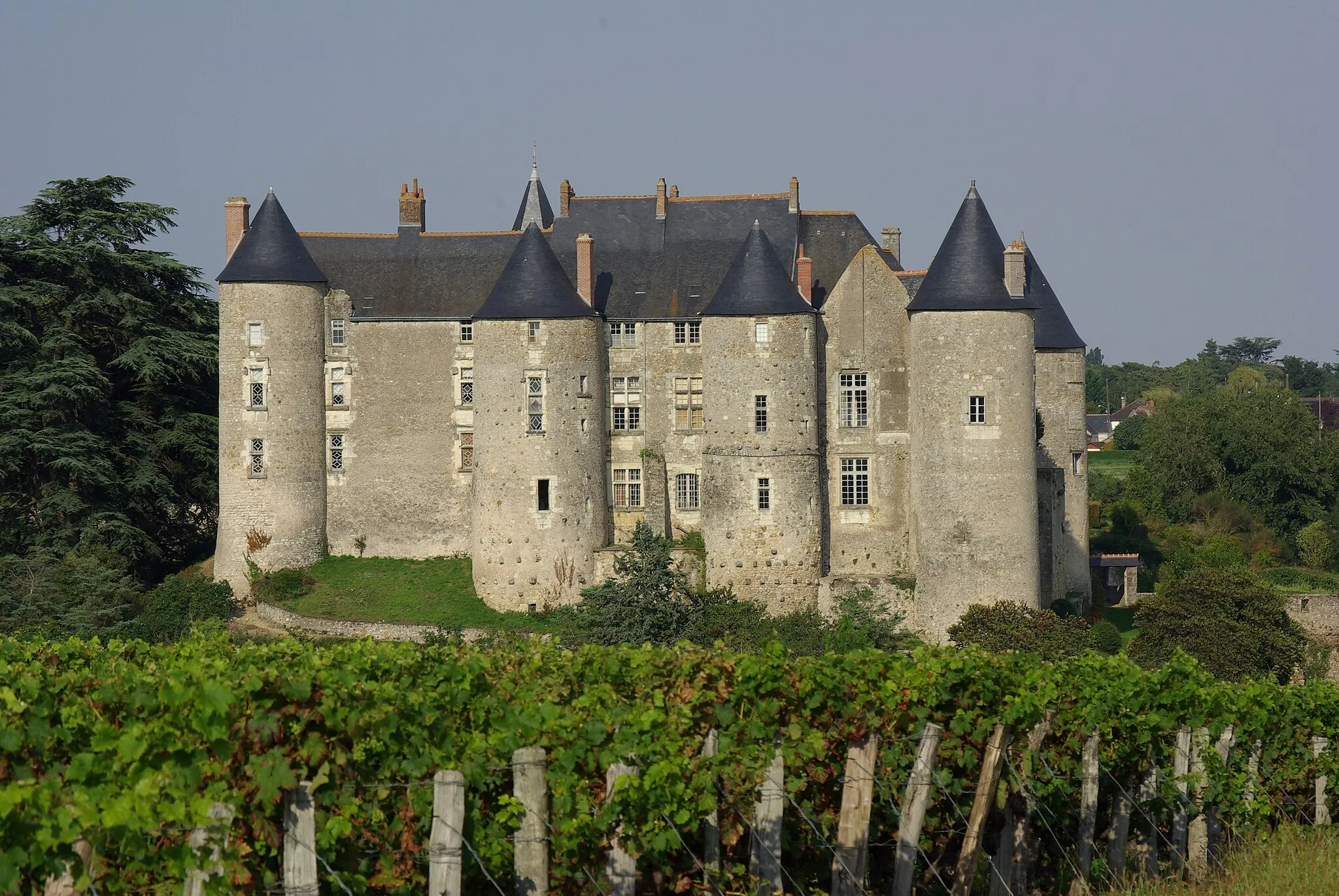 Photo showing: Château de Luynes