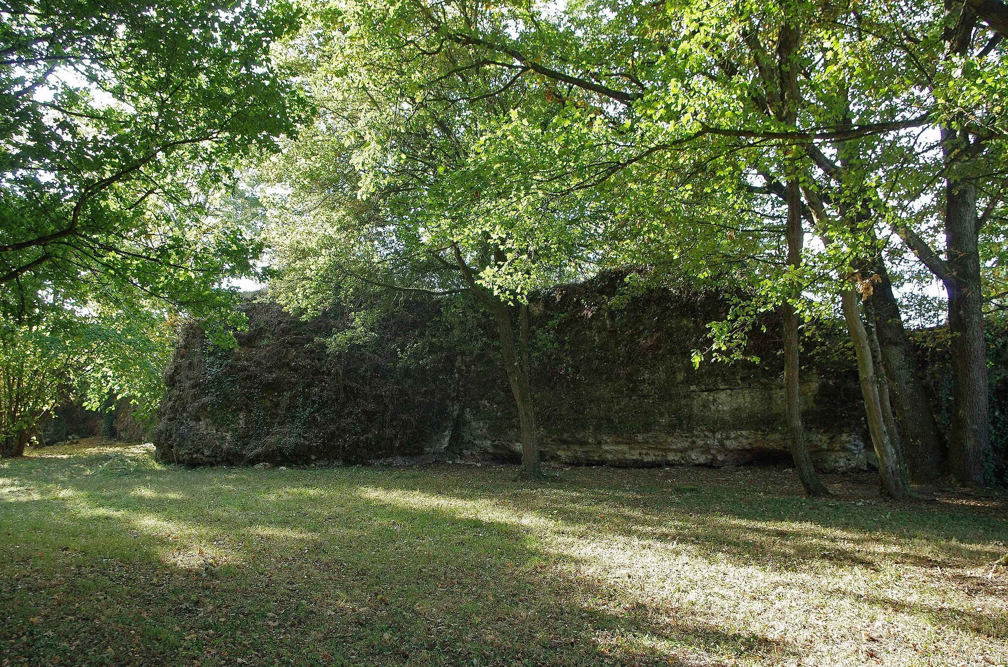 Photo showing: Larçay (Indre-et-Loire).
L'enceinte est du castellum.

Le Castellum de Larçay.
Il s'agit d'une fortification militaire gallo-romaine du IIIe siècle, c'est à dire du Bas-Empire.
Le Castellum domine la vallée du Cher et le grand axe de communications de Bourges à Tours*.

Le Castellum est le fortin gallo-romain le mieux conservé de la région et sans doute du Nord de la Gaule. Les murs dont on voit encore les pierres de petit appareil* liées par du mortier, peuvent expliquer en partie cette conservation. Beaucoup d'édifices anciens ont été détruits non seulement par le temps, mais aussi par les populations qui utilisaient ces édifices comme carrières de pierres prètes à l'emploi. Le petit appareil ne pouvant livrer que des moellons de piètre qualité après de gros efforts pour les libérer du mortier, a pu dissuader la récupération donc la destruction de l'édifice.
Les 21 monnaies récoltées à l'intérieur du fortin s'échelonnent entre 120 et 320 après J.C...
Un bâtiment découvert au nord-est du castellum et plusieurs fosses et sépultures à l'intérieur, attestent d'une réutilisation du site de la période mérovingienne jusqu'au XVe siècle.
Le Castellum est un quadrilatère d'environ 80 m sur 70 m. Il est possible qu'il n'y eut jamais de muraille du côté nord, côté vallée.
A proximité, au sud-est du Castellum, se trouvait une grande villa* romaine dont les vestiges ont totalement disparus lors de la construction d'un lotissement dans les années 1970. L'examen de fragments de céramiques récupérés en 1975 confirme une occupation au IIe siècle. Des éléments d'édifices antérieurs, des tronçons de colonnes par exemple,  ont été utilisé à certains endroits dans les fondements du castellum, celui-ci est donc bien postérieur à la villa.

Route de Bourges (Avaricum), capitale des Bituriges, à Tours (Caesarodunum), capitale des Turones, par deux stations intermédiaires (Mansiones), Gièvres/Chabris (Gabris) et Thésée/Pouillé(Tasciaca). "petit appareil", maçonnerie utilisant de petites pierres (8 à 16 cm.) La villa rustica était avec l'ensemble des bâtiments destinée à l'exploitation d'un domaine agricole. www.ville-larcay.fr/larcay/tourisme/le-castellum

fr.wikipedia.org/wiki/Castellum_de_Lar%C3%A7ay