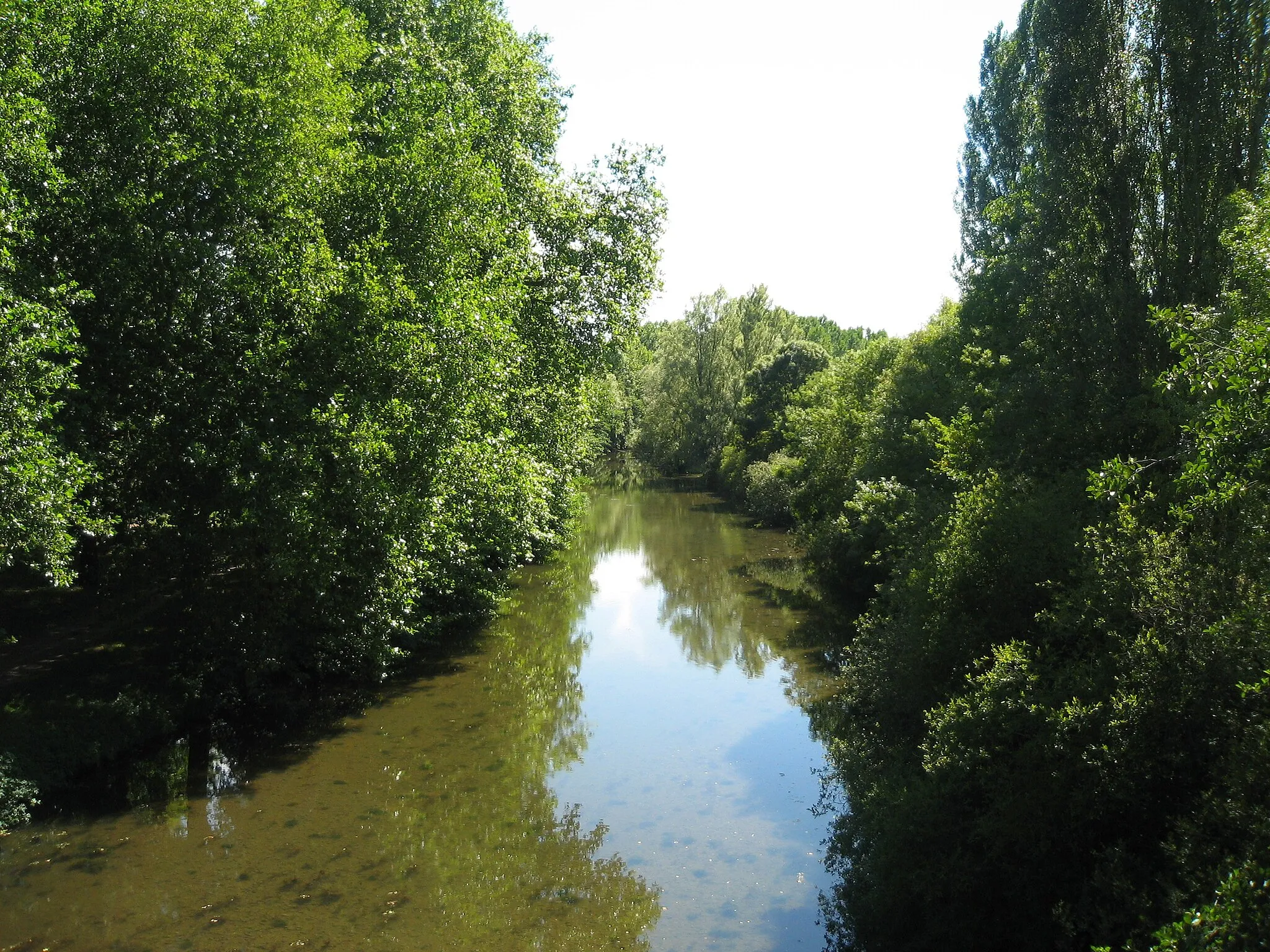 Photo showing: L'Arnon à Chârost, vue du vieux pont.