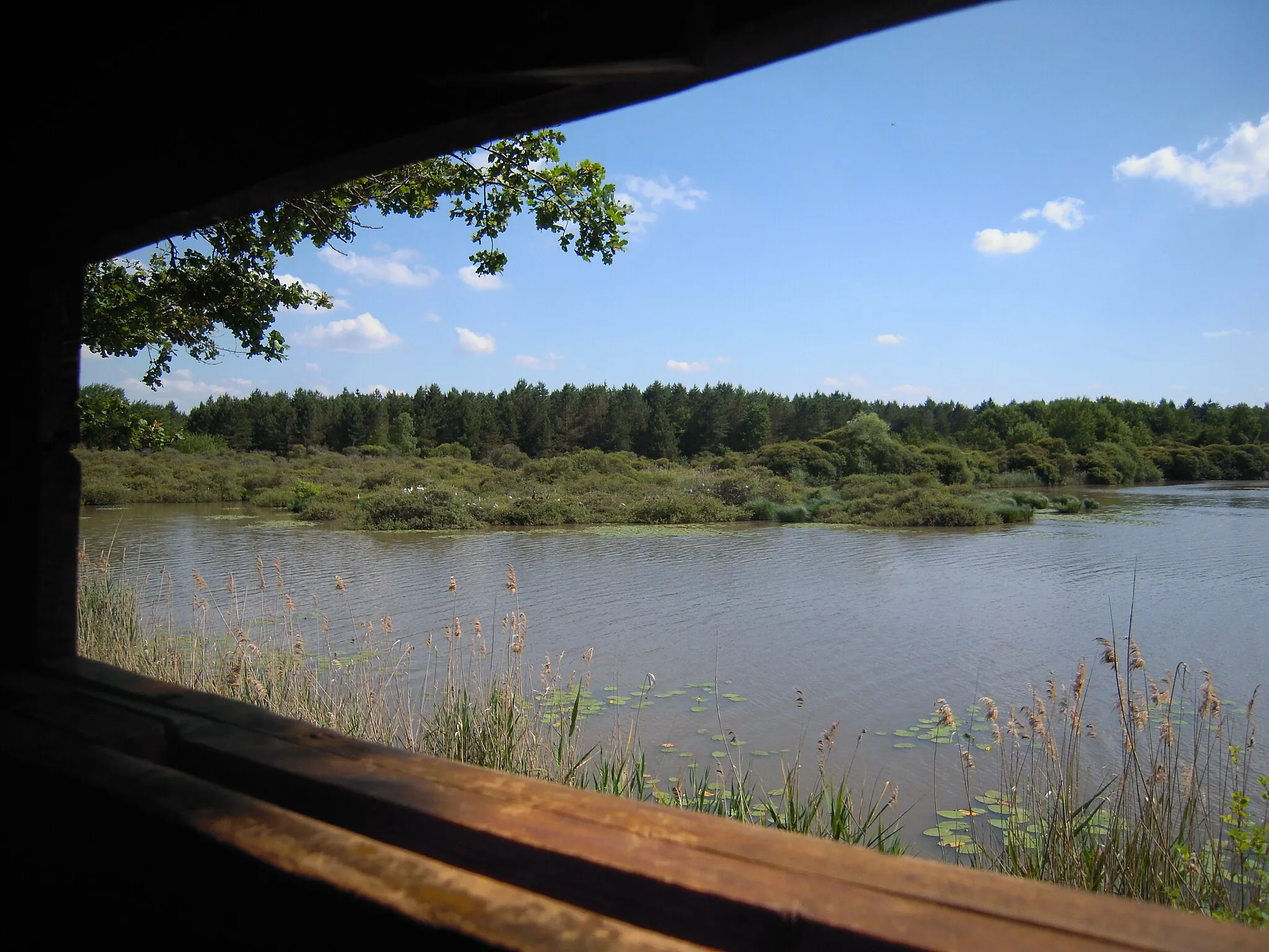 Photo showing: Vue de la héronnière de l'observatoire