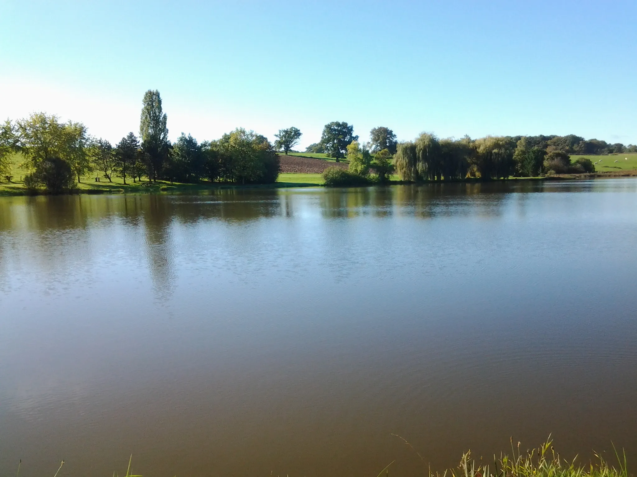 Photo showing: Etang communal des Fromenteaux.