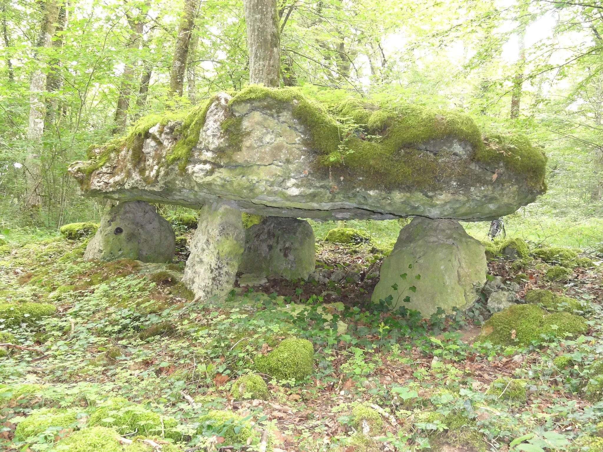 Photo showing: Rochefort-sur-la-Côte (Haute-Marne) dolmen du bois de la Grande Bay