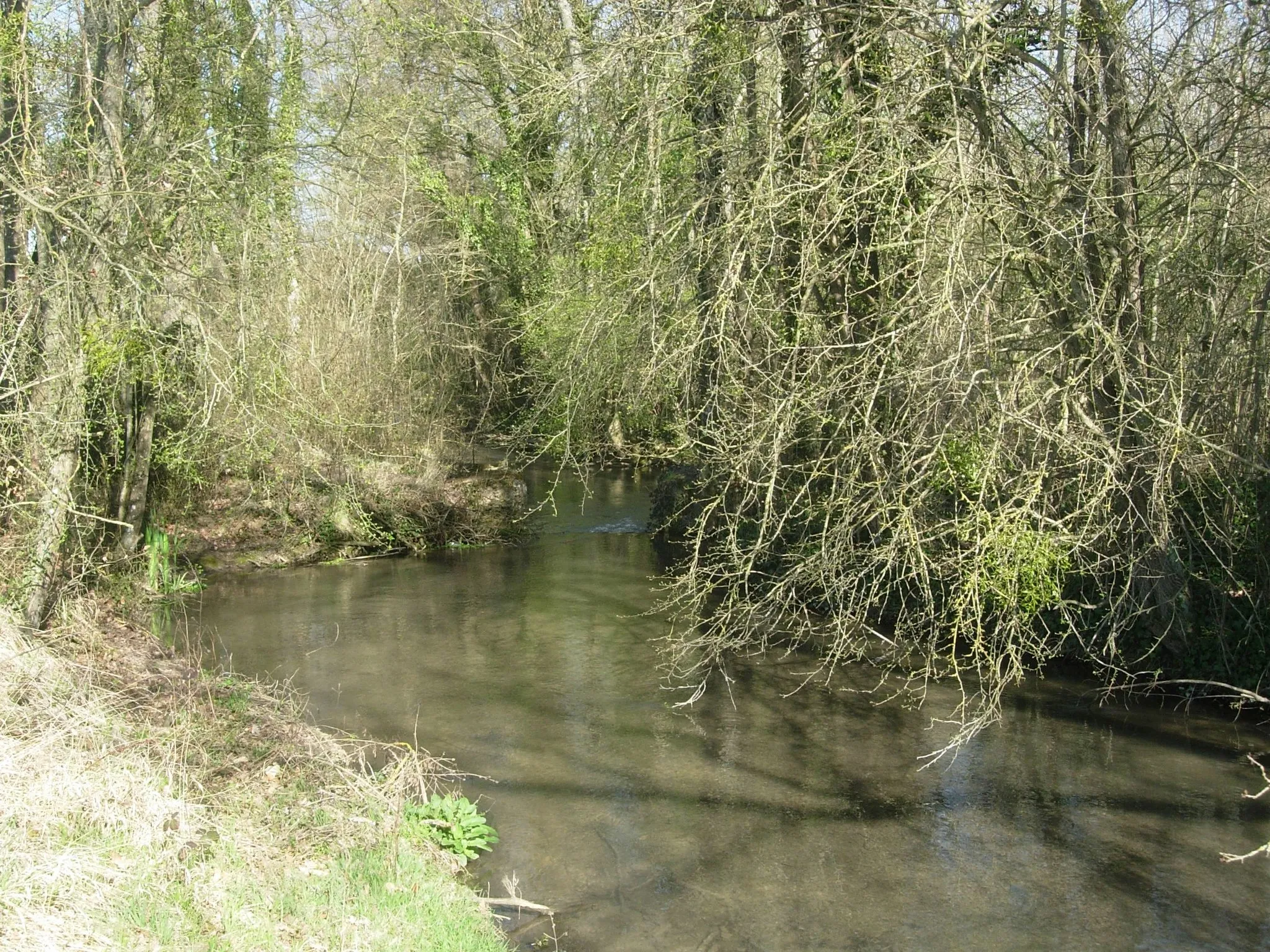 Photo showing: l'Ancre à Chennegy (Aube)