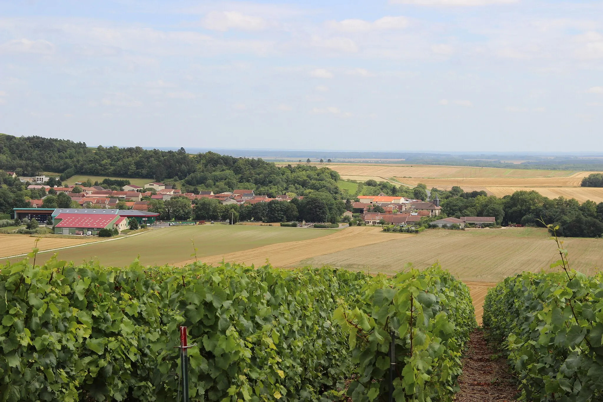 Photo showing: Vue du vignoble et du village