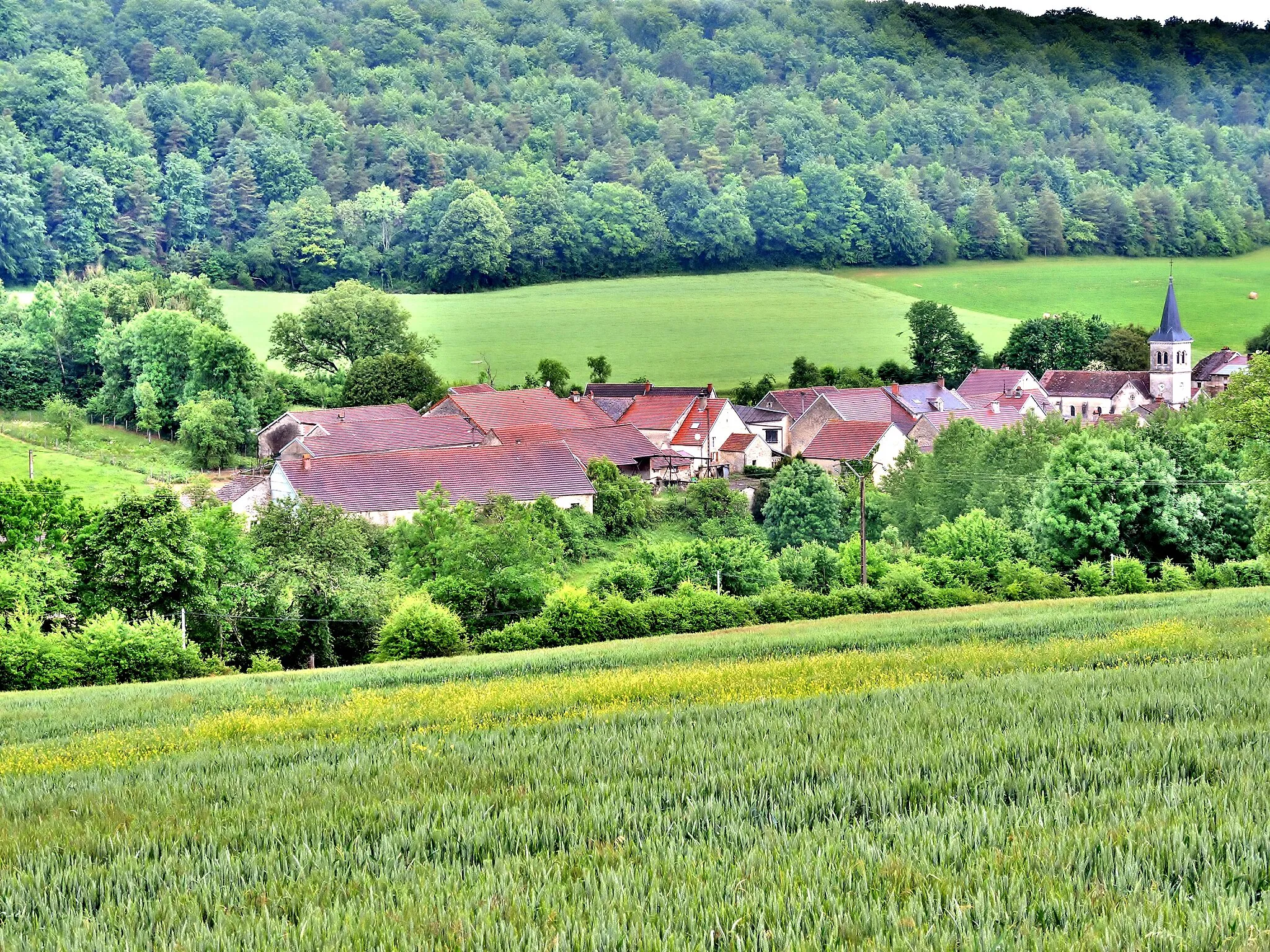Photo showing: Panorama sur le village de Germaines. Haute-Marne.