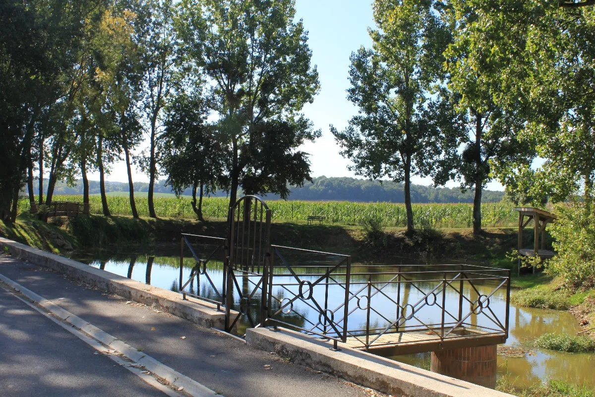 Photo showing: La mare du village