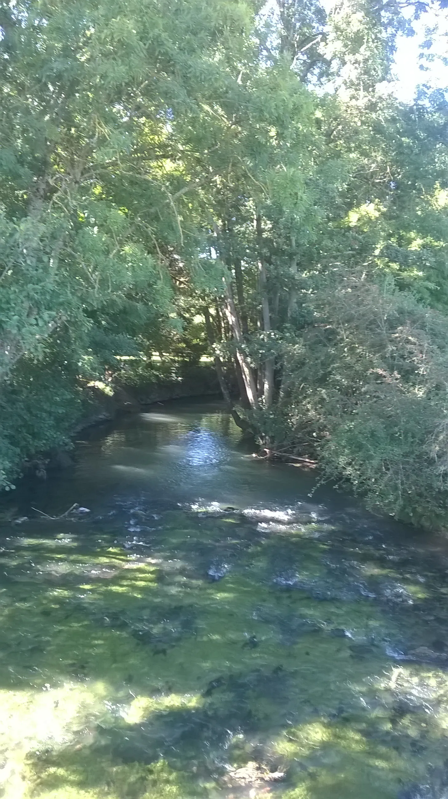 Photo showing: Vue sur  la rivière Le  Grand Morin dans la commune de Joiselle (Marne).
