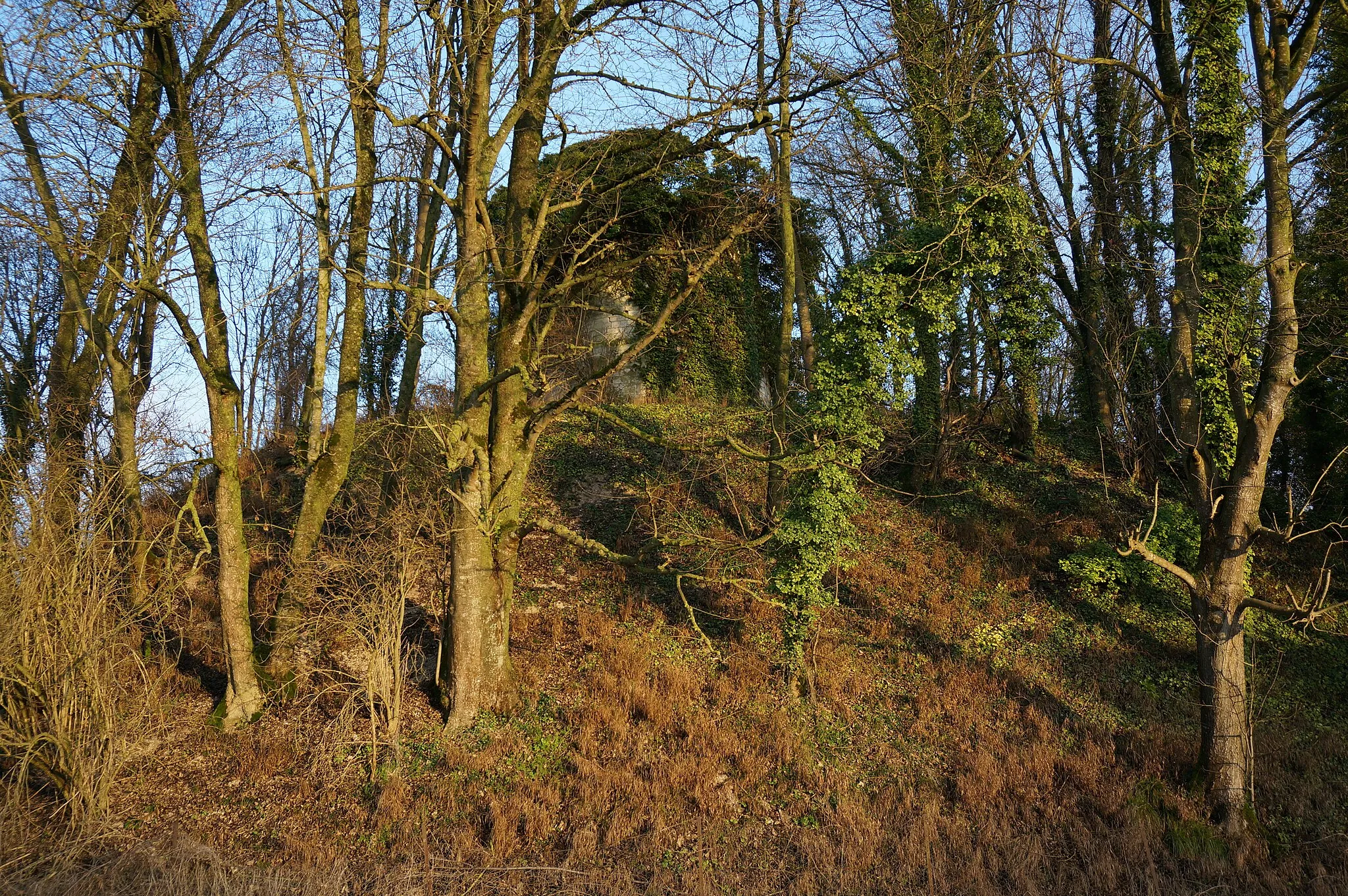 Photo showing: à Bussy-le-Château.