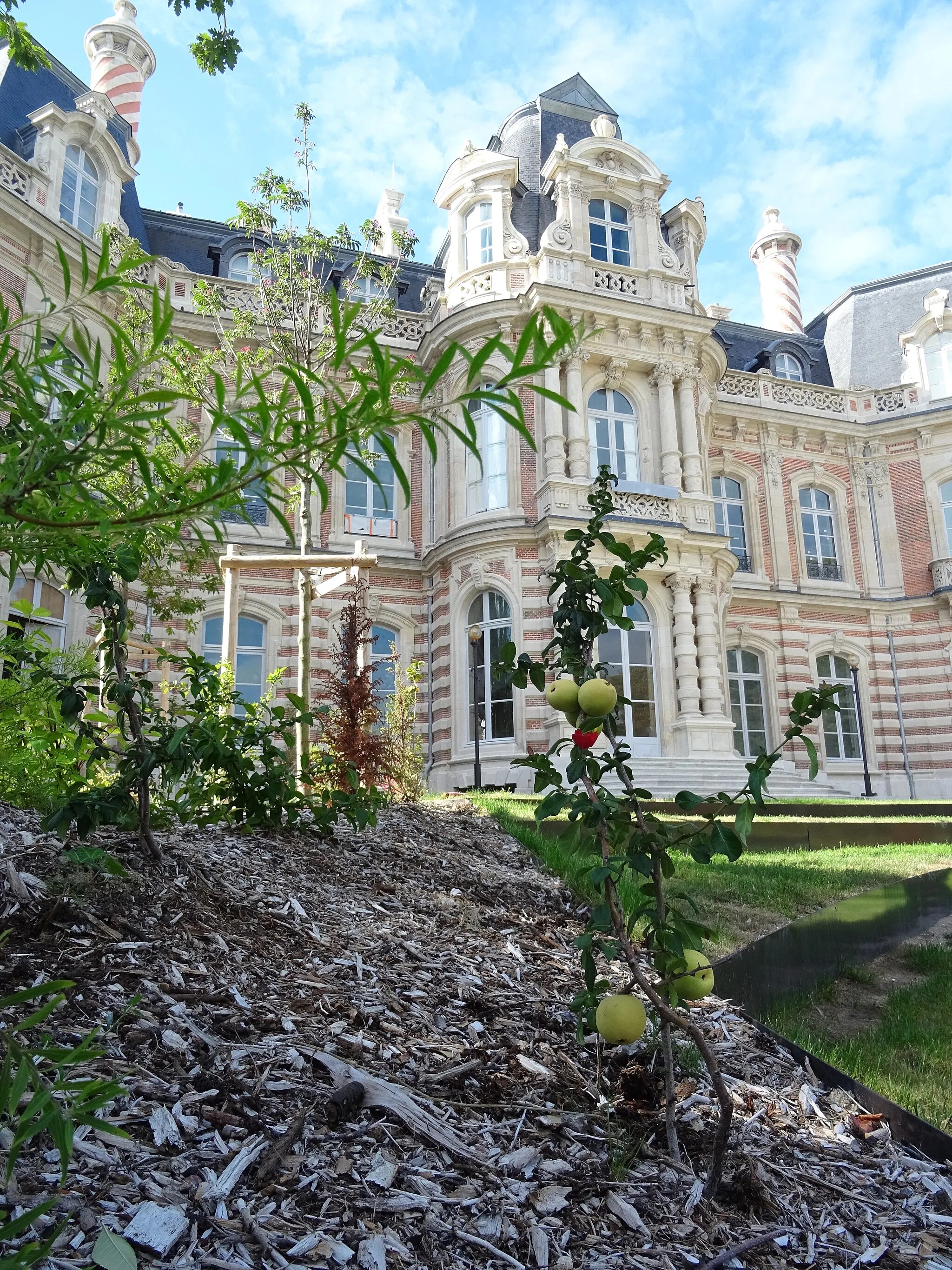 Photo showing: Vue du chateau