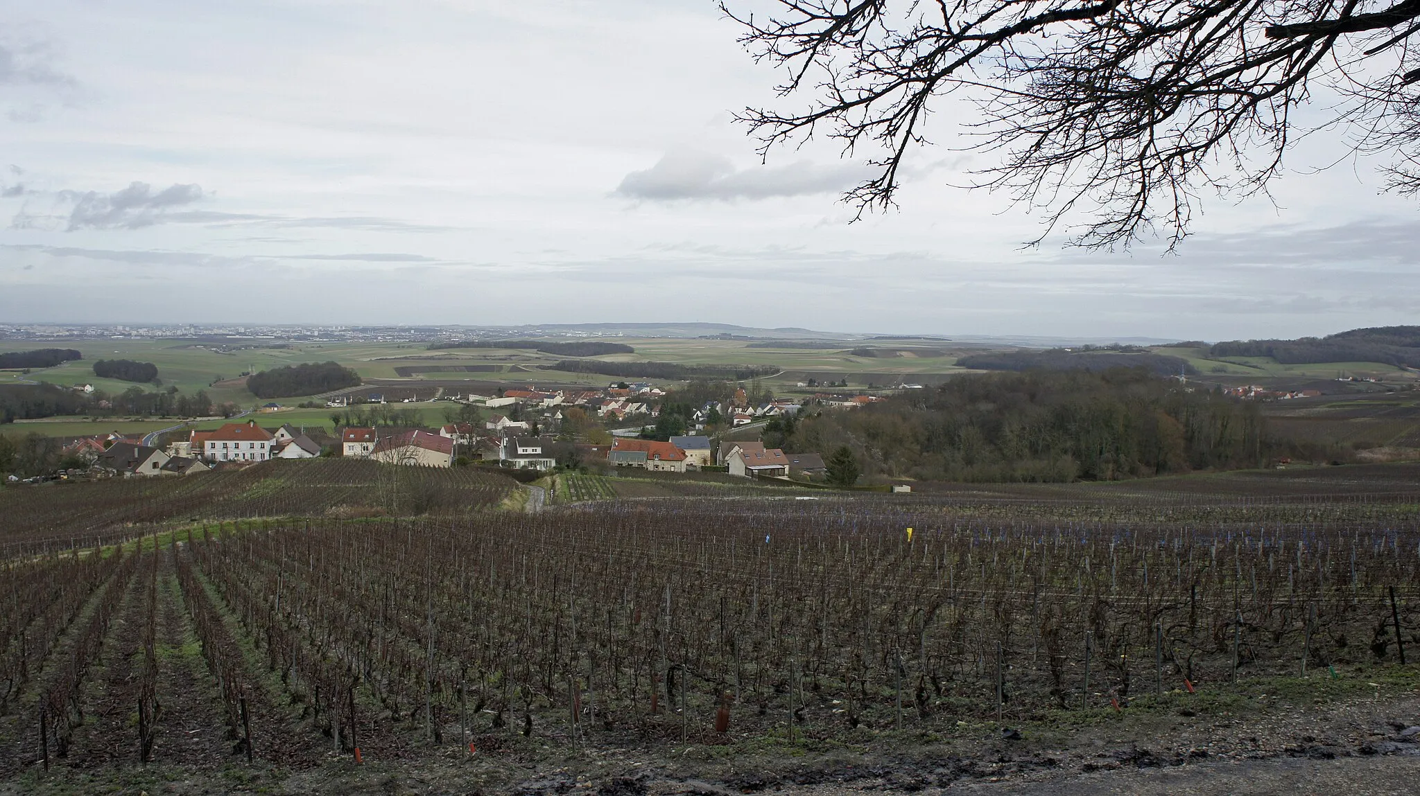 Photo showing: Vue de Sermiers_vers_Reims .