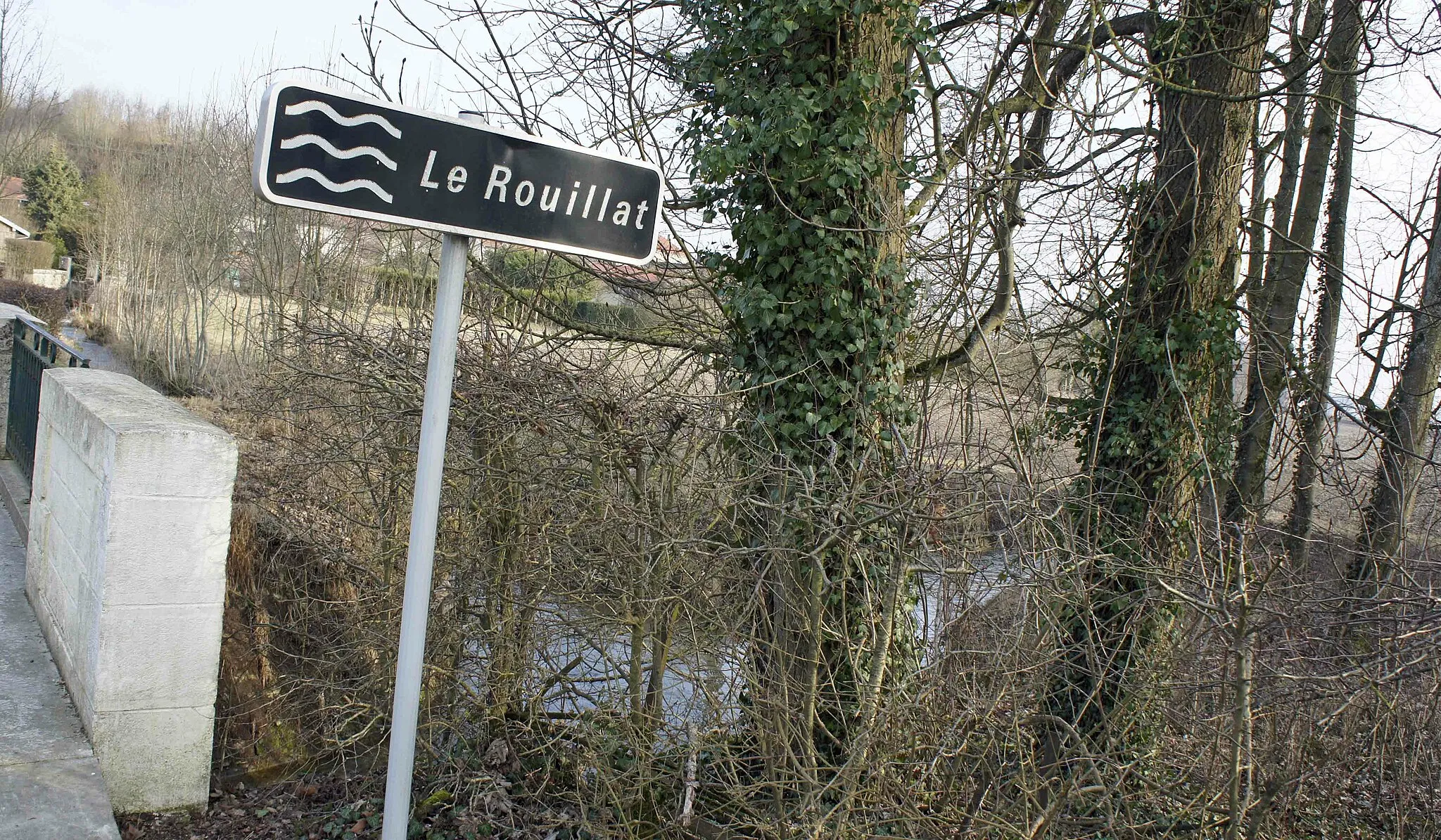 Photo showing: Dampierre le Château, une vue de l'Yèvre et en premier plan le Rouillat.