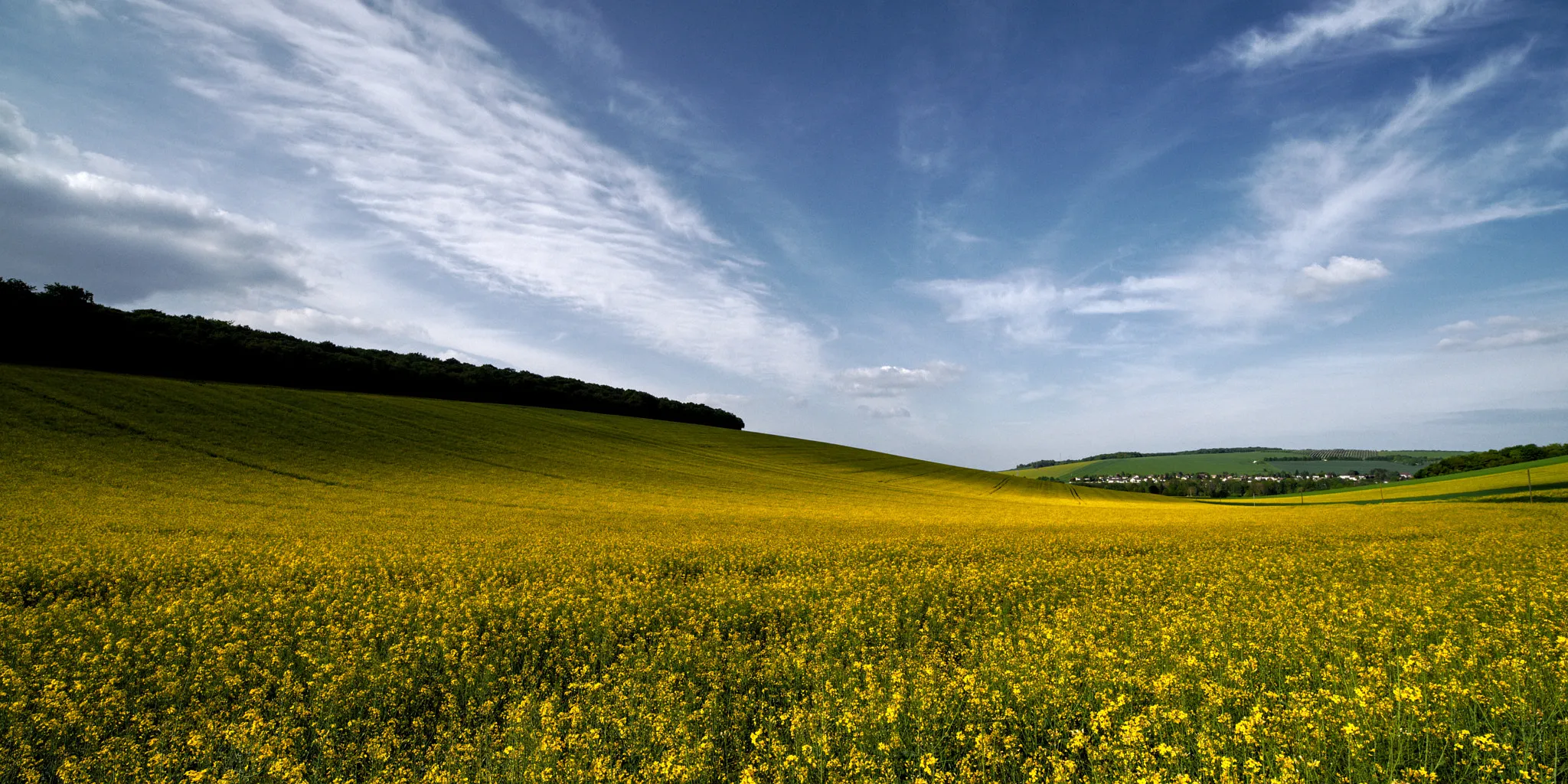 Photo showing: 500px provided description: Ambiance champs ? perte de vue dans l'Yonne [#field ,#country ,#rural ,#farm ,#jaune ,#farming ,#bleu ,#farmland ,#hayfield ,#rapeseed ,#champs ,#nuages ,#colza ,#cultivated ,#bourgogne ,#yonne ,#cultivated land ,#monoculture ,#irix 15mm]