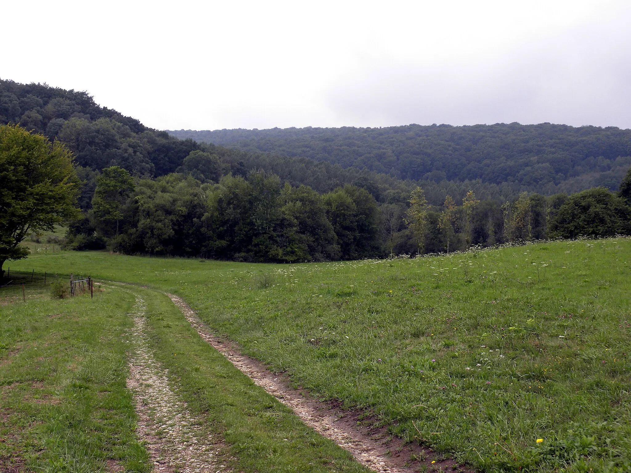 Photo showing: Valley near Chatel Chéhéry where Sergeant York did his heroics.