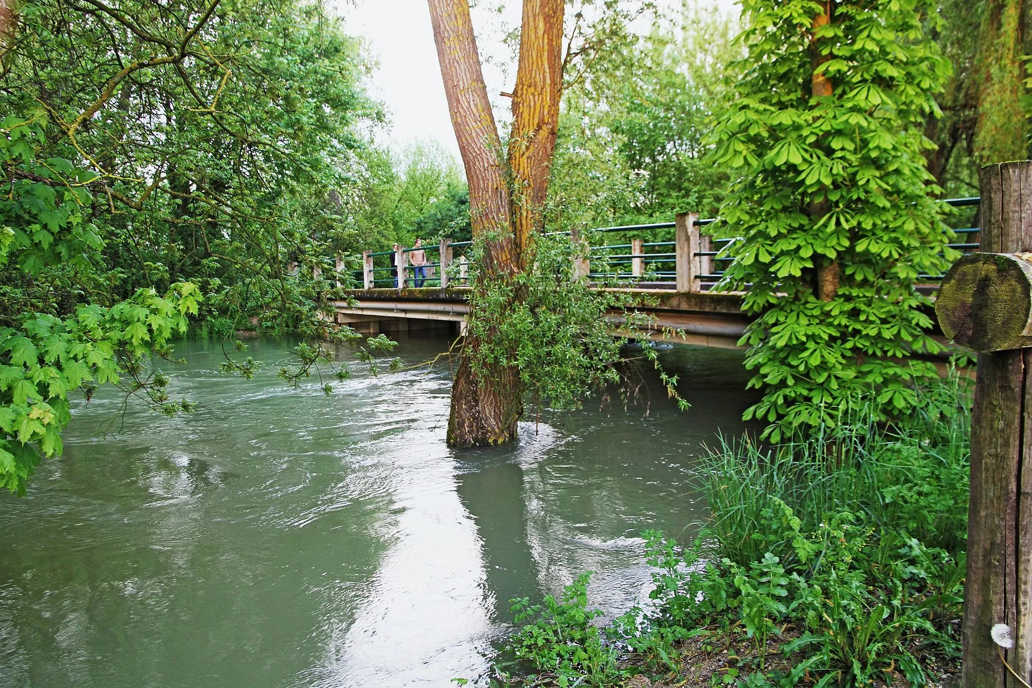 Photo showing: Débordement de l'Hozain à Villepart lors des Inondations à Troyes en mai 2013