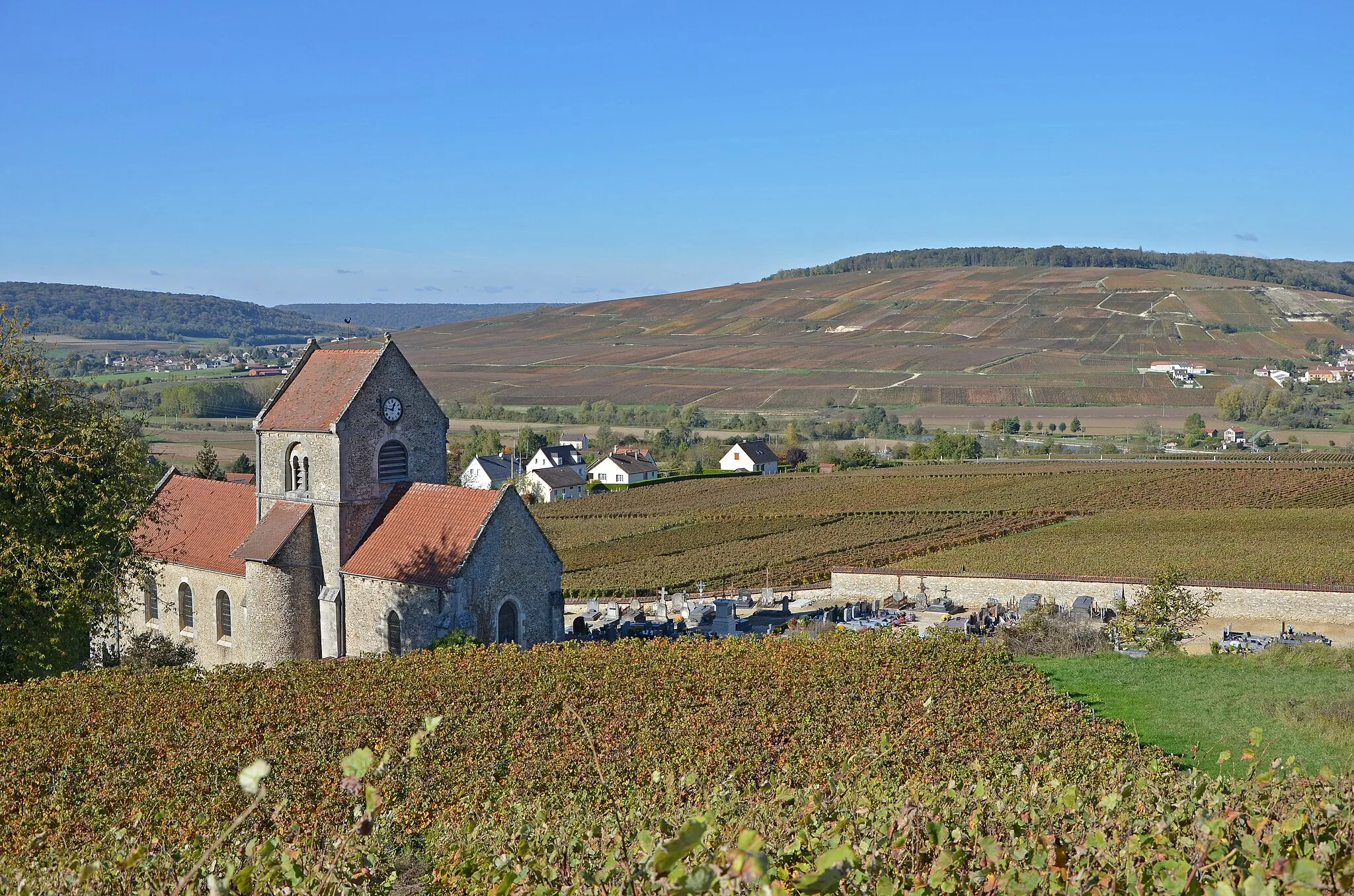 Photo showing: Vignoble de Champagne à Courthiézy dans la vallée de la Marne, Marne, Champagne-Ardennes, France