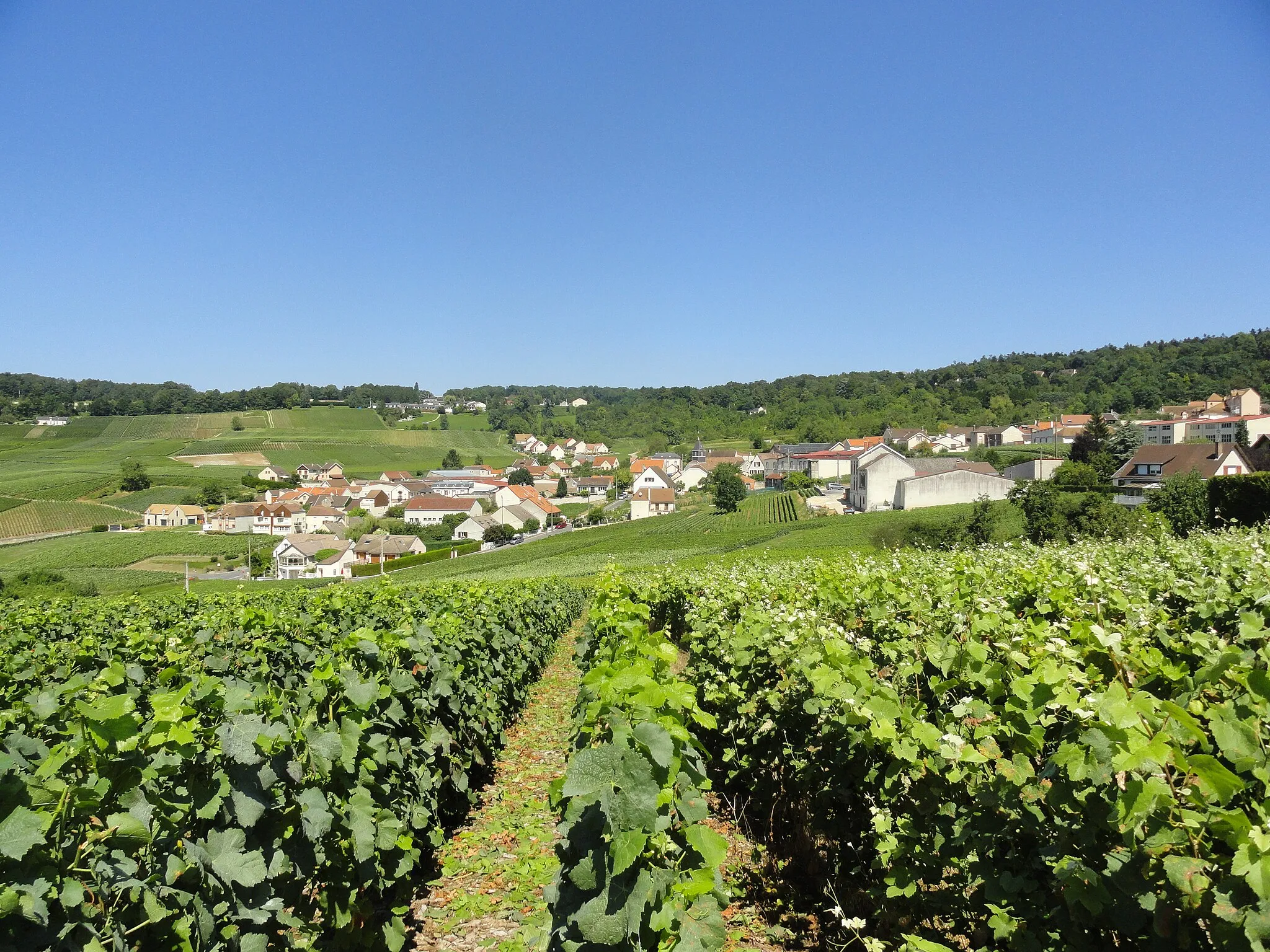 Photo showing: Vue du village de Champillon.