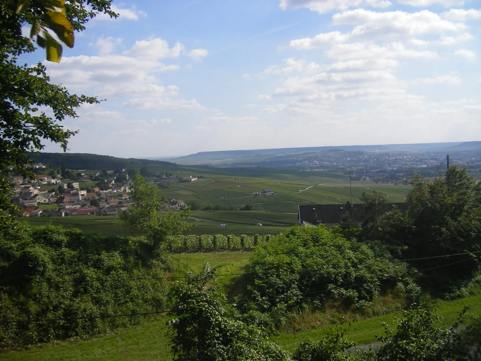 Photo showing: Landscape at the southern edge of Montagne-de-Reims, between Épernay and Saint-Imoges. The picture has been taken close to the D951 road, and the village on the left is Champillon.