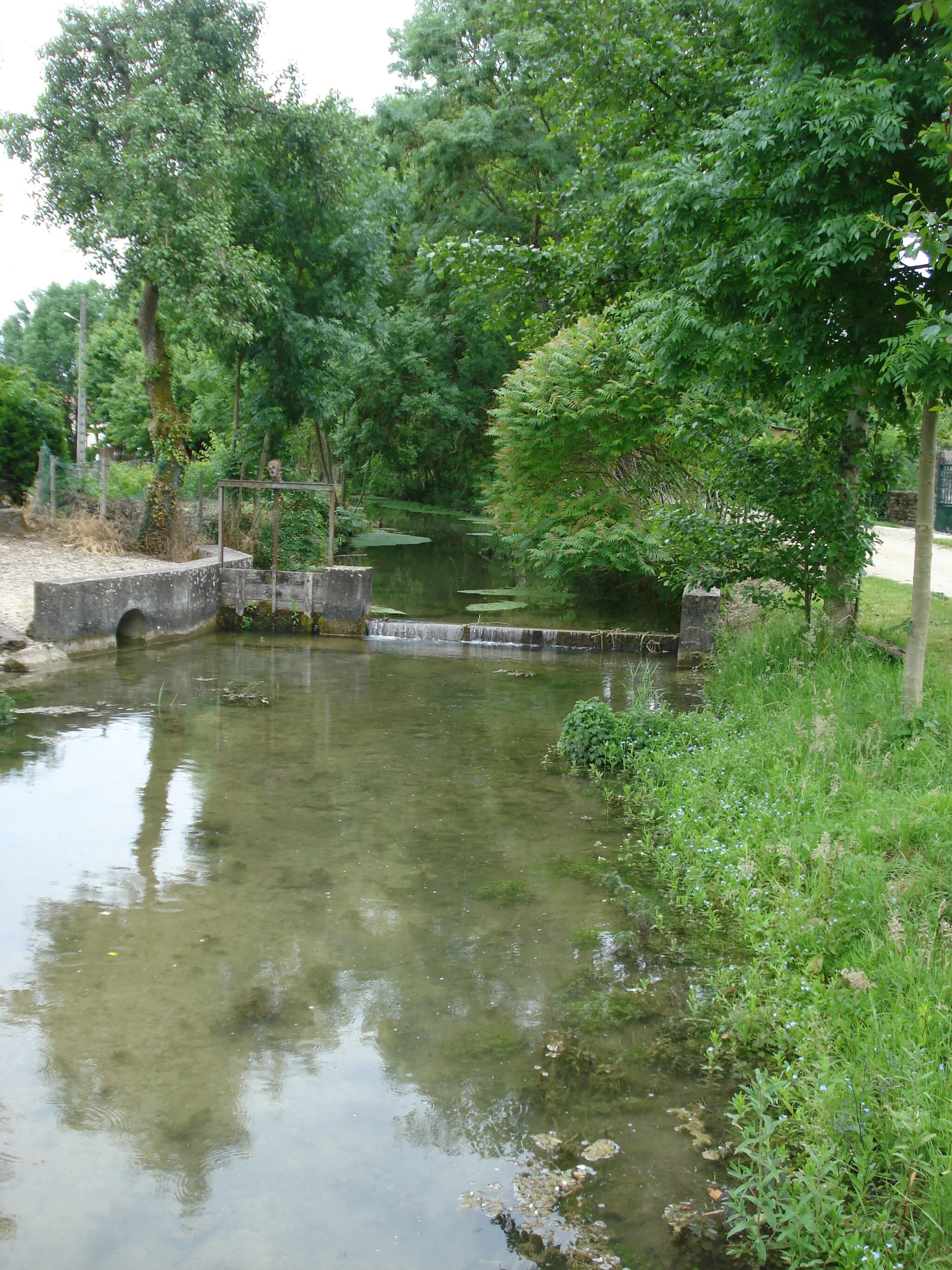 Photo showing: La Sarce à Avirey-Lingey (Aube, Fr)