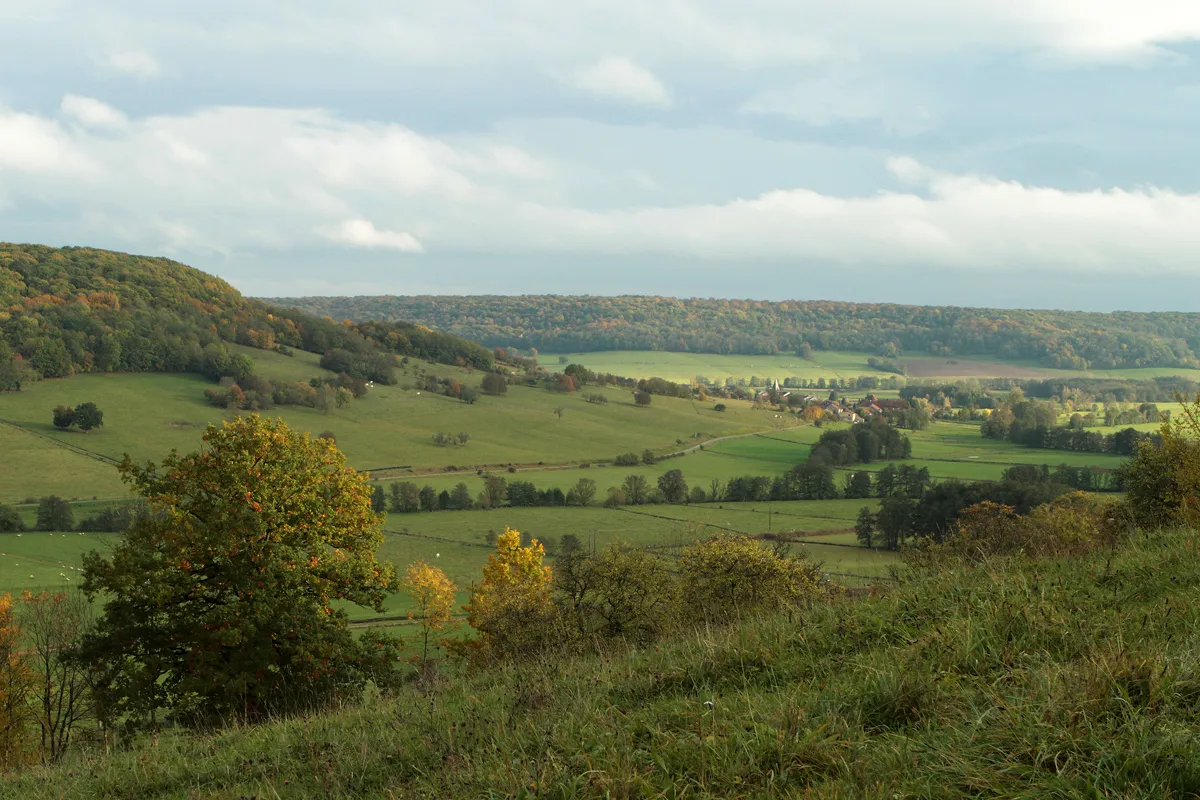 Photo showing: Vue sur la vallée de la Petite Amance depuis Varennes