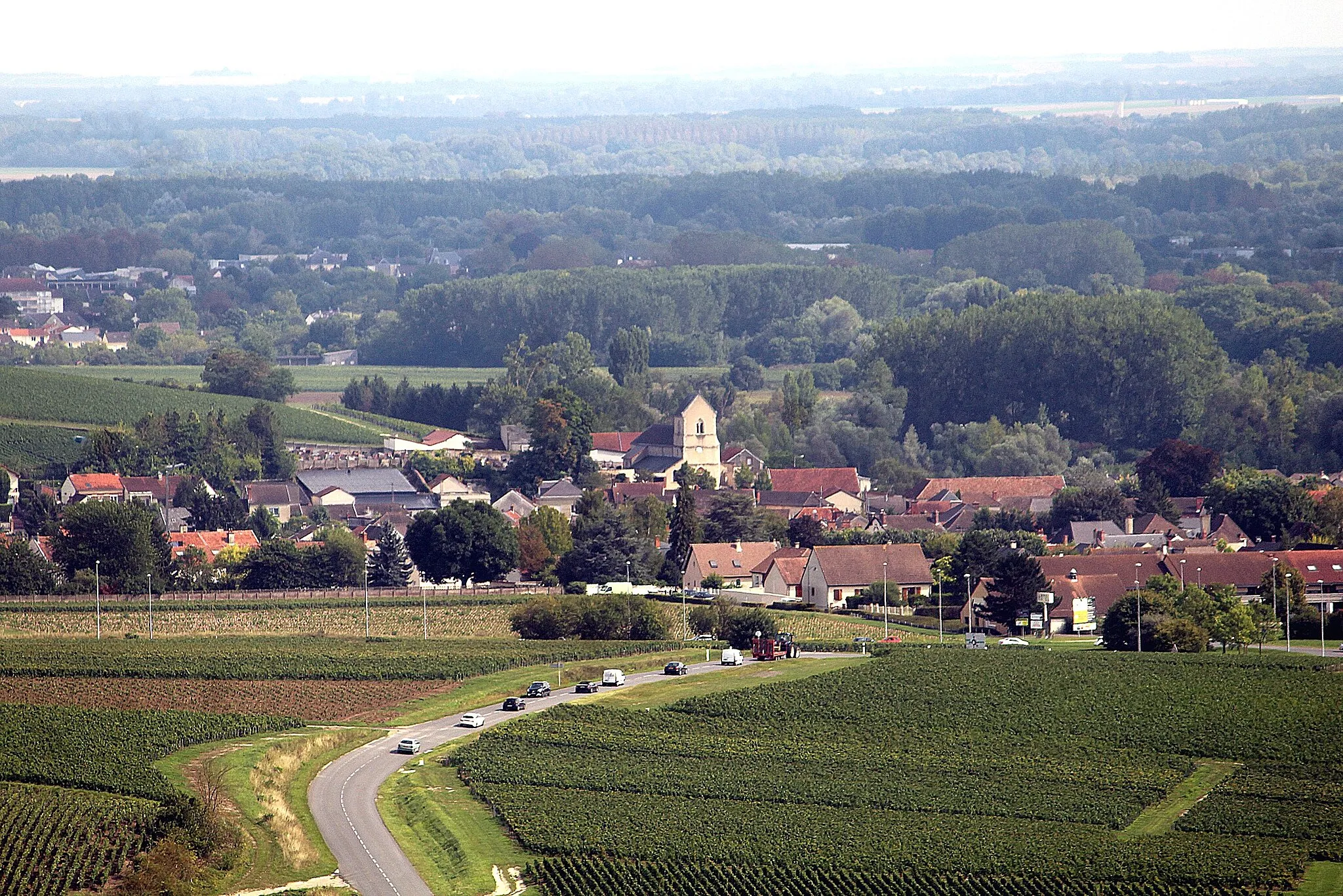 Photo showing: Hautvillers, view to Dizy
