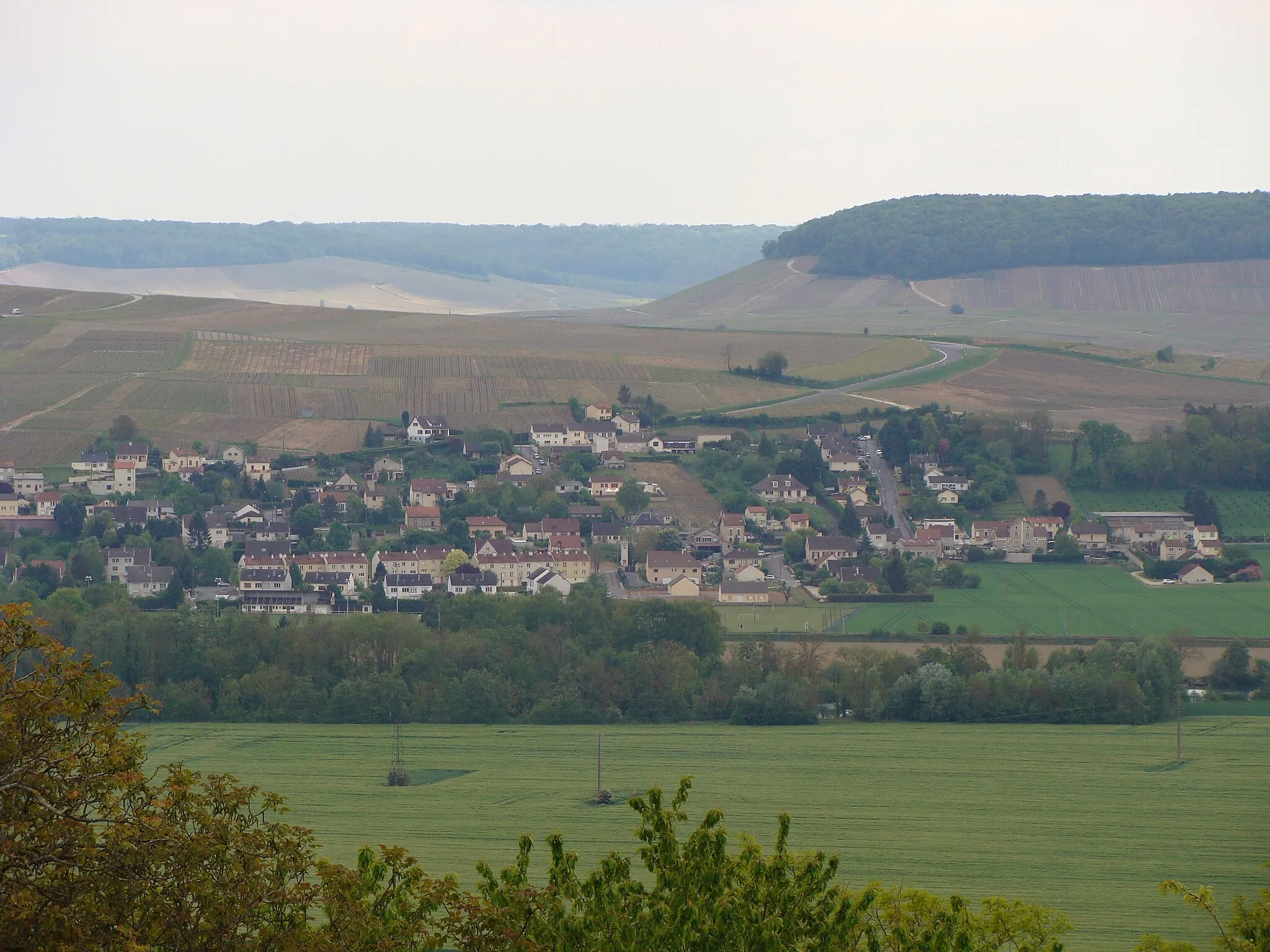 Photo showing: Châtillon-sur Marne, panorama de la statue d'Urbain II