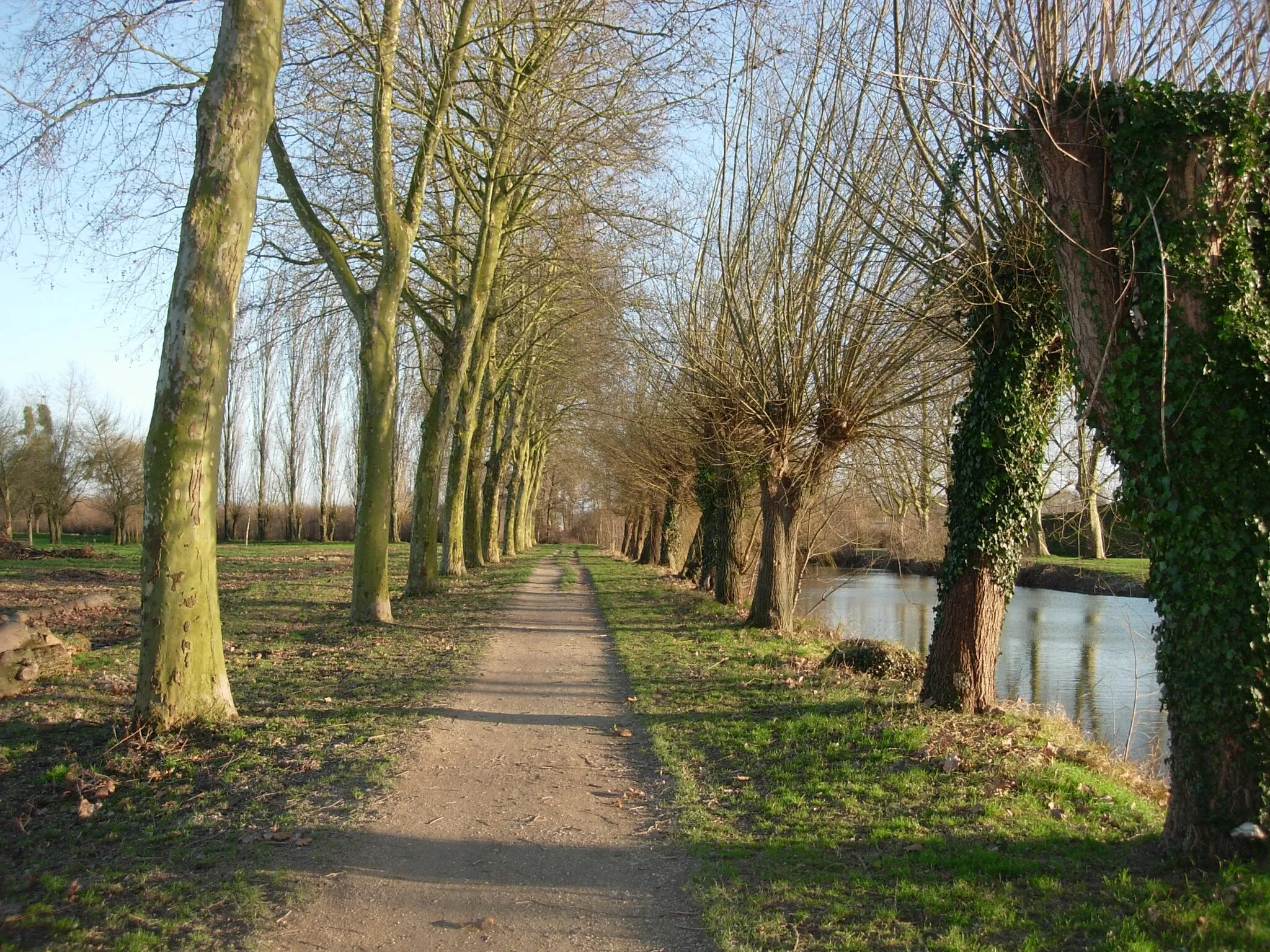 Photo showing: Romilly-sur-Seine (Aube, France) : parc de la Béchère