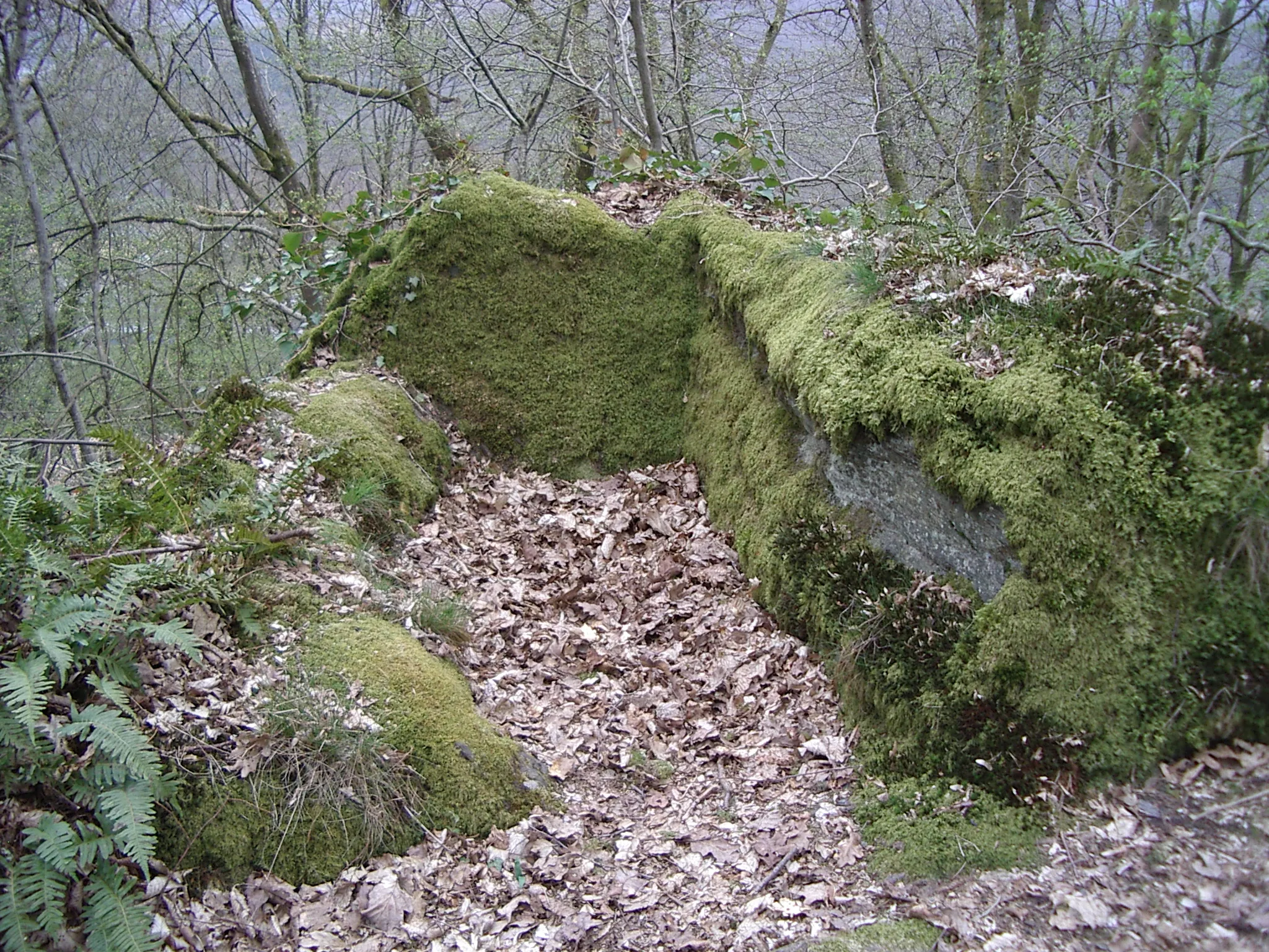 Photo showing: Château de Linchamps : Poste de guet ou cannonière