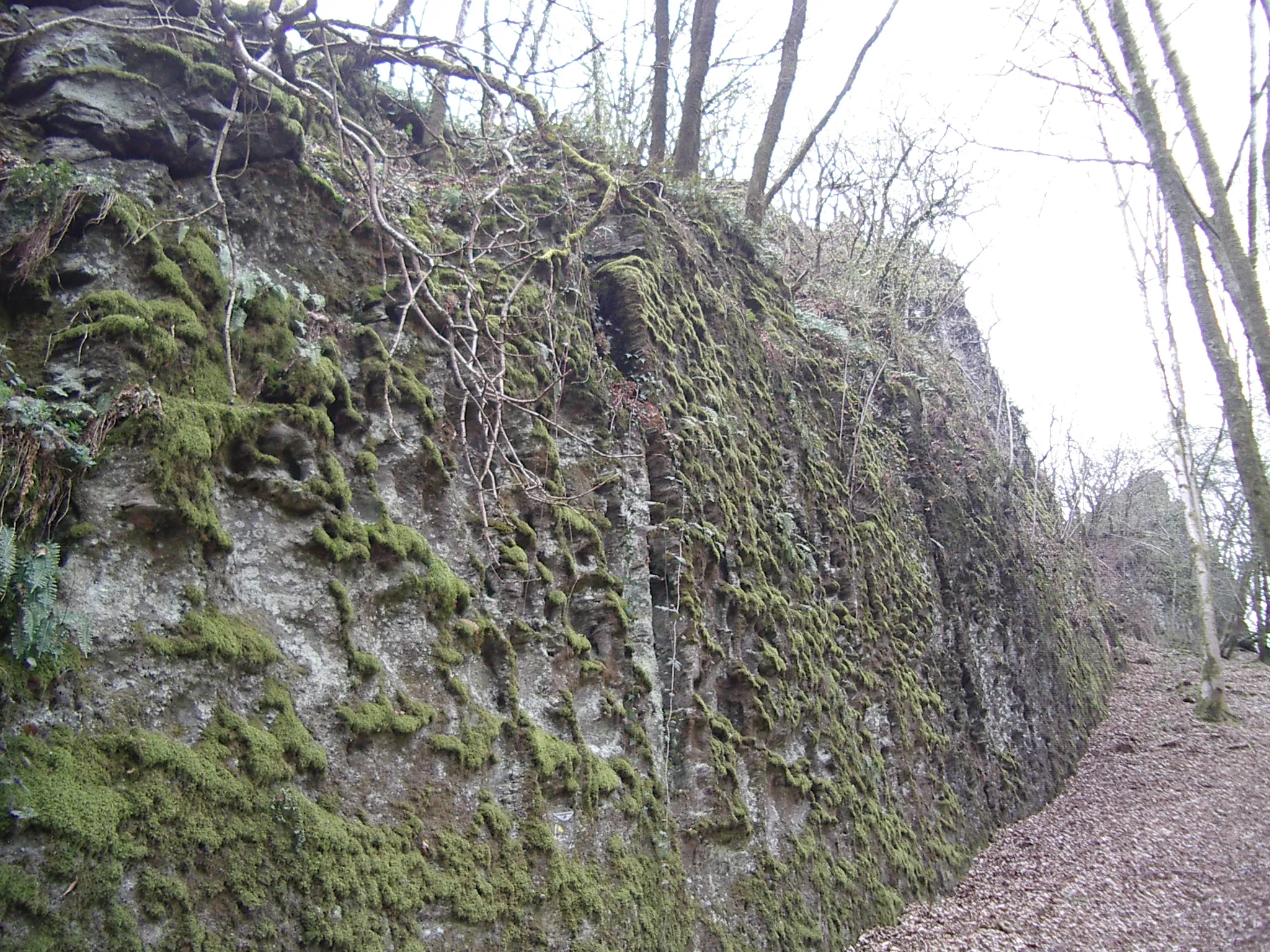 Photo showing: Château de Linchamps : Le Mur aux boulets