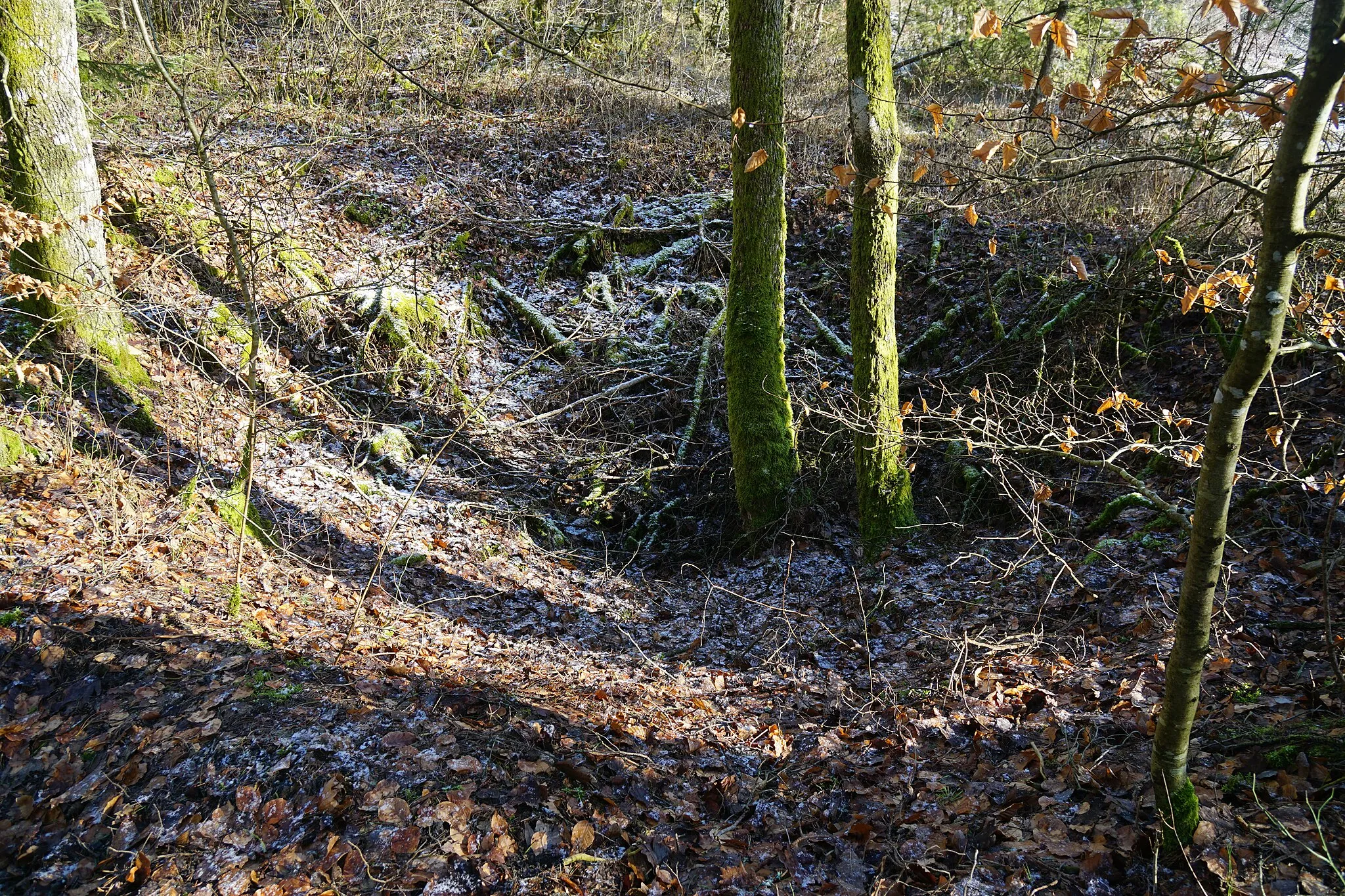 Photo showing: L’entonnoir formé par le puits situé au Nord de Crainvillers (concession de la Vacheresse).