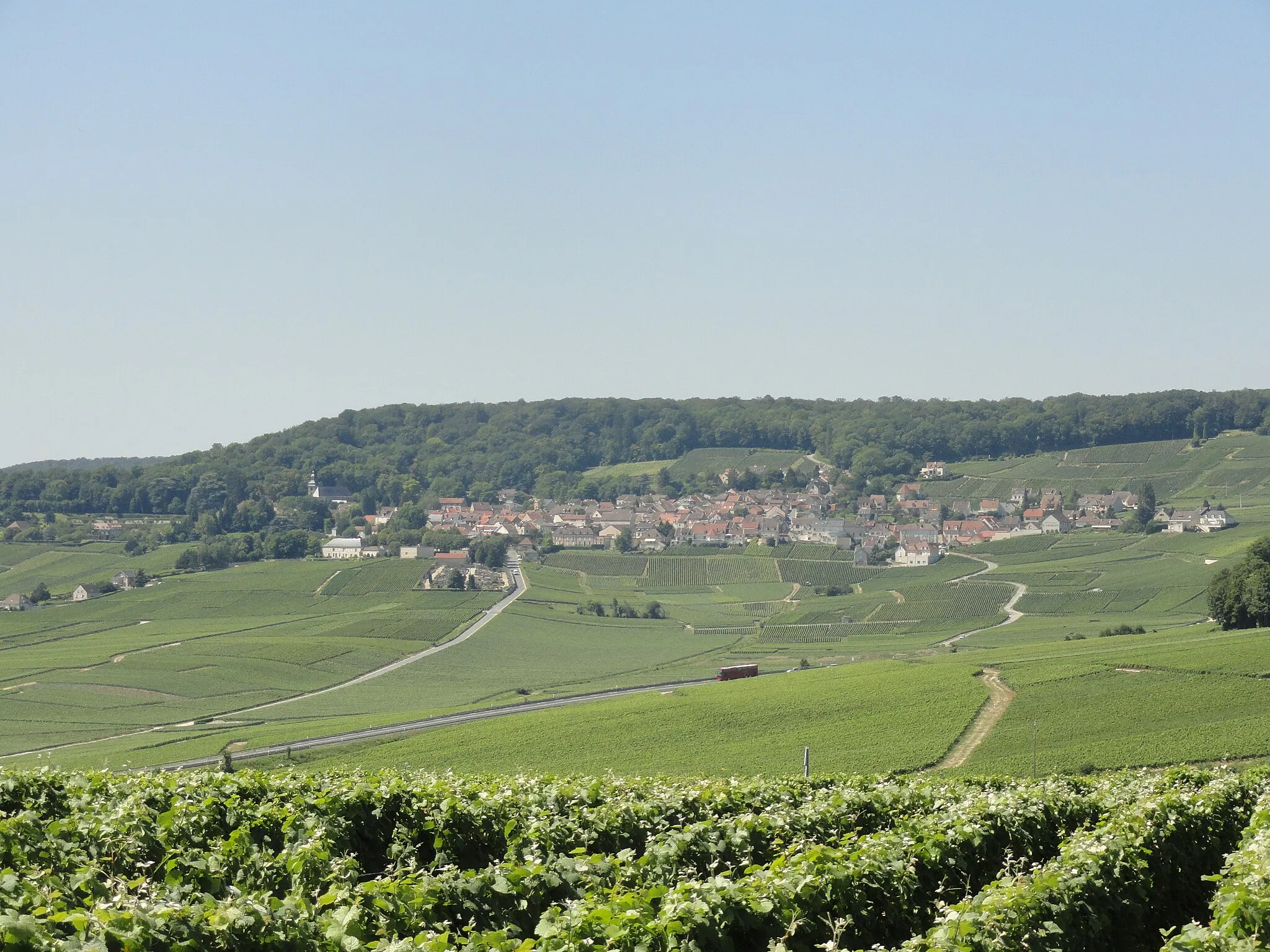 Photo showing: Vue d'ensemble du village d'Hautvillers, sur la Montagne de Reims, depuis le point de vue aménagé entre Champillon et Dizy (Marne).