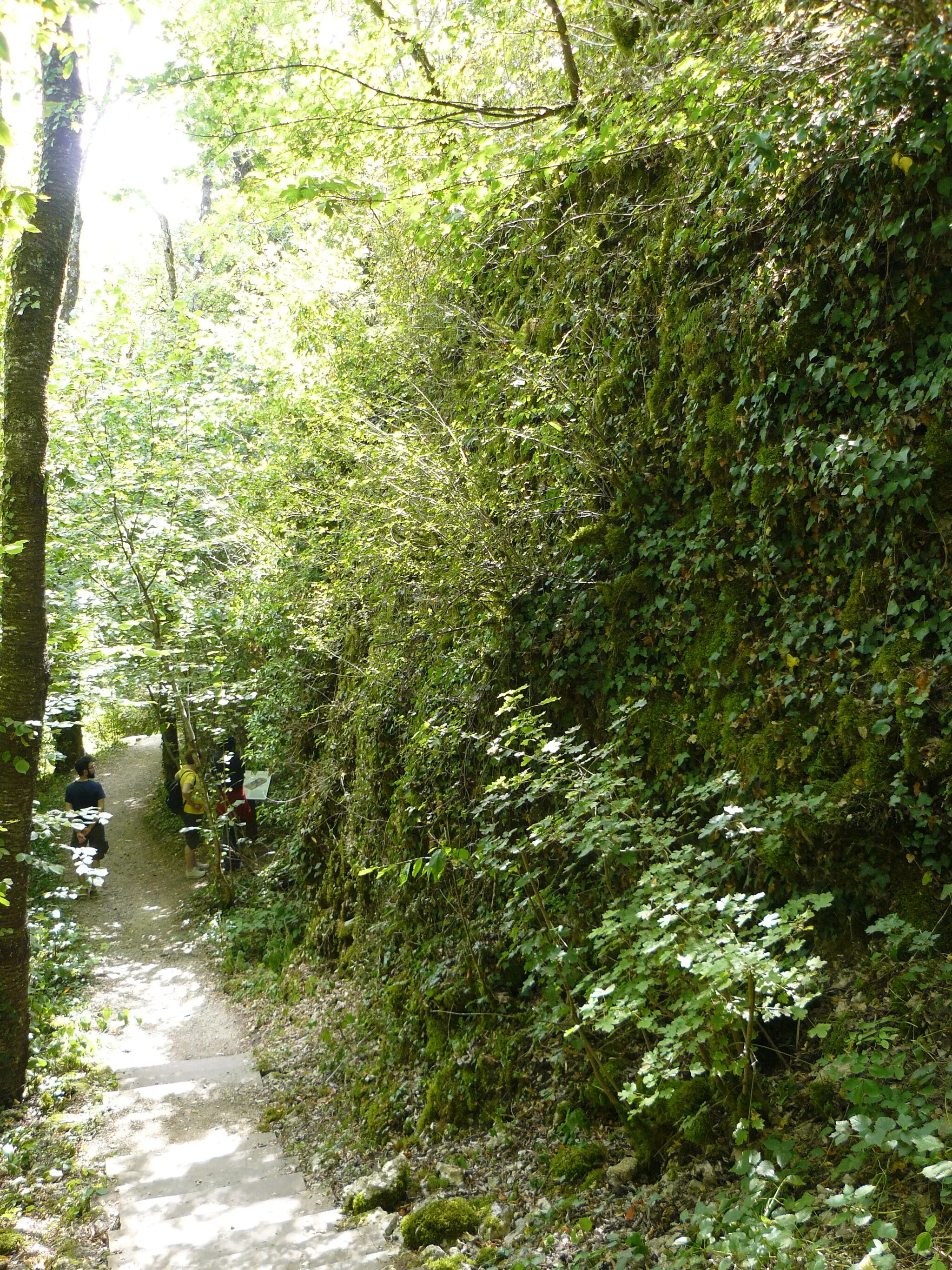 Photo showing: Falasie de la source de la Marne à Balesmes-sur-Marne (Haute-Marne).