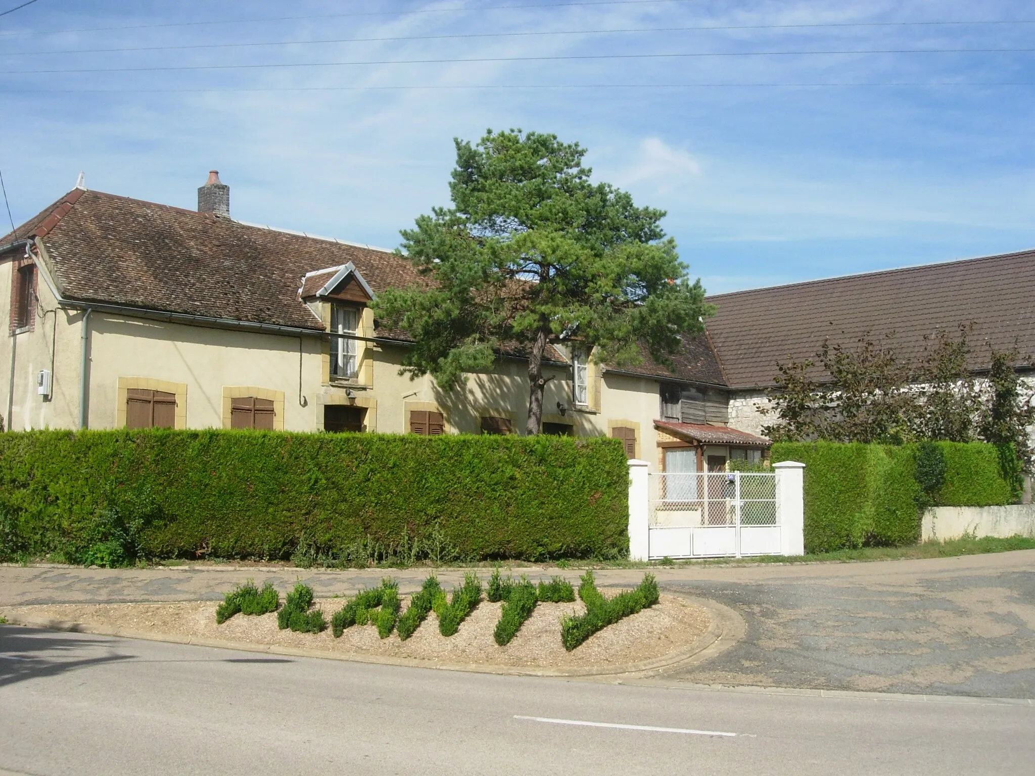Photo showing: Planty