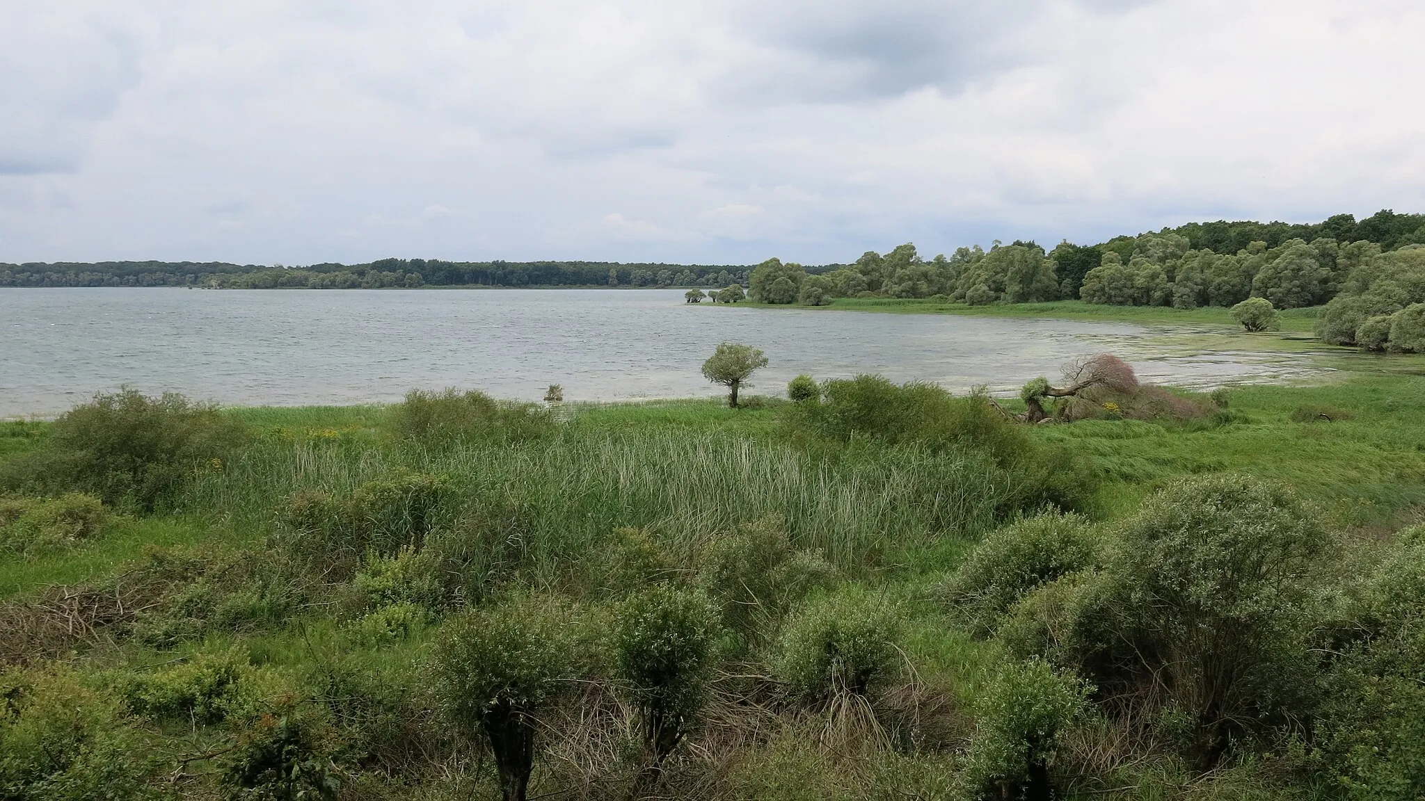 Photo showing: Look from the sightseeing point of birds on the lac d'Orient in Mesnil-Saint-Père (Aube, France).