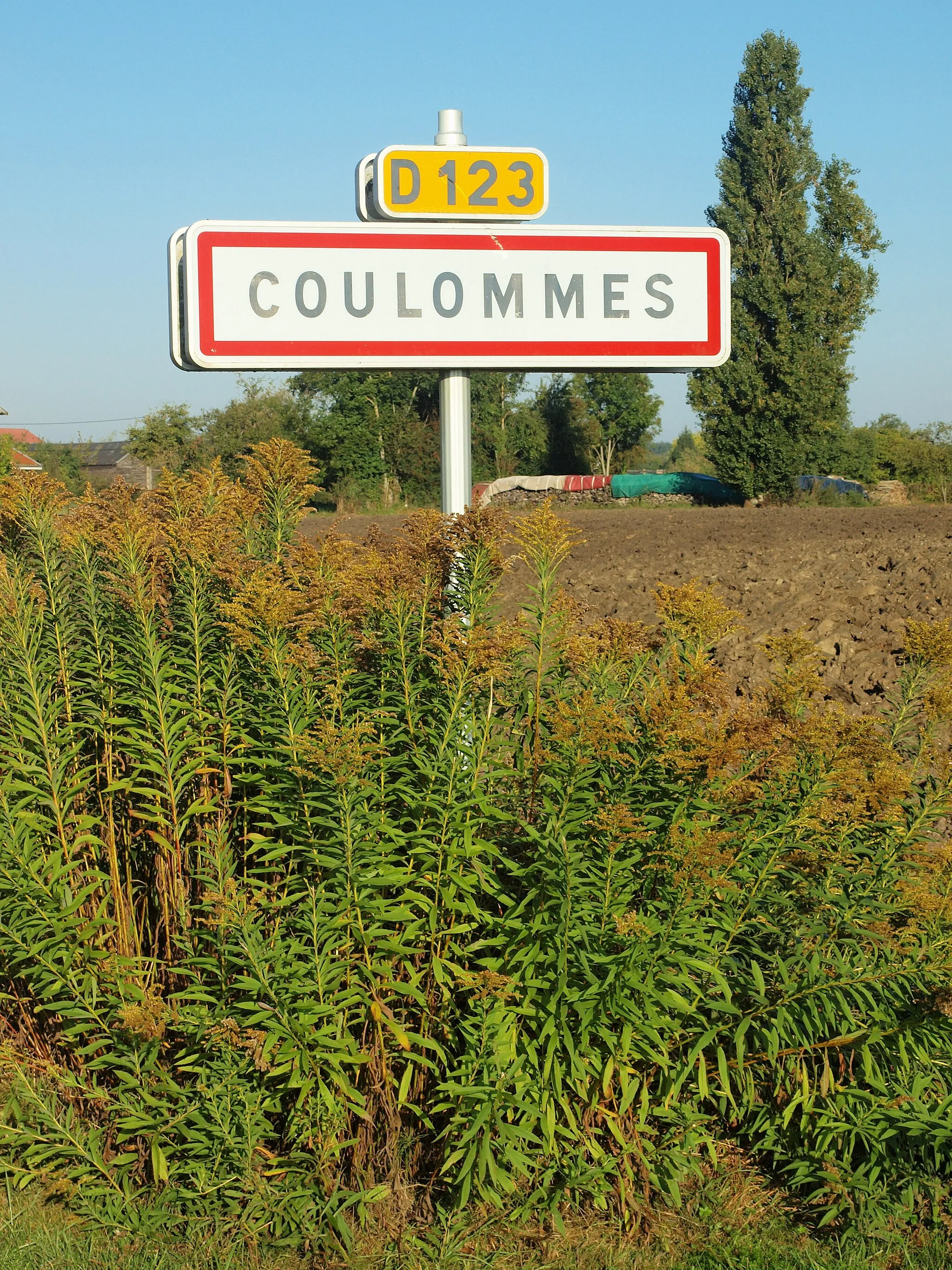 Photo showing: Coulommes-et-Marqueny (Ardennes, France)