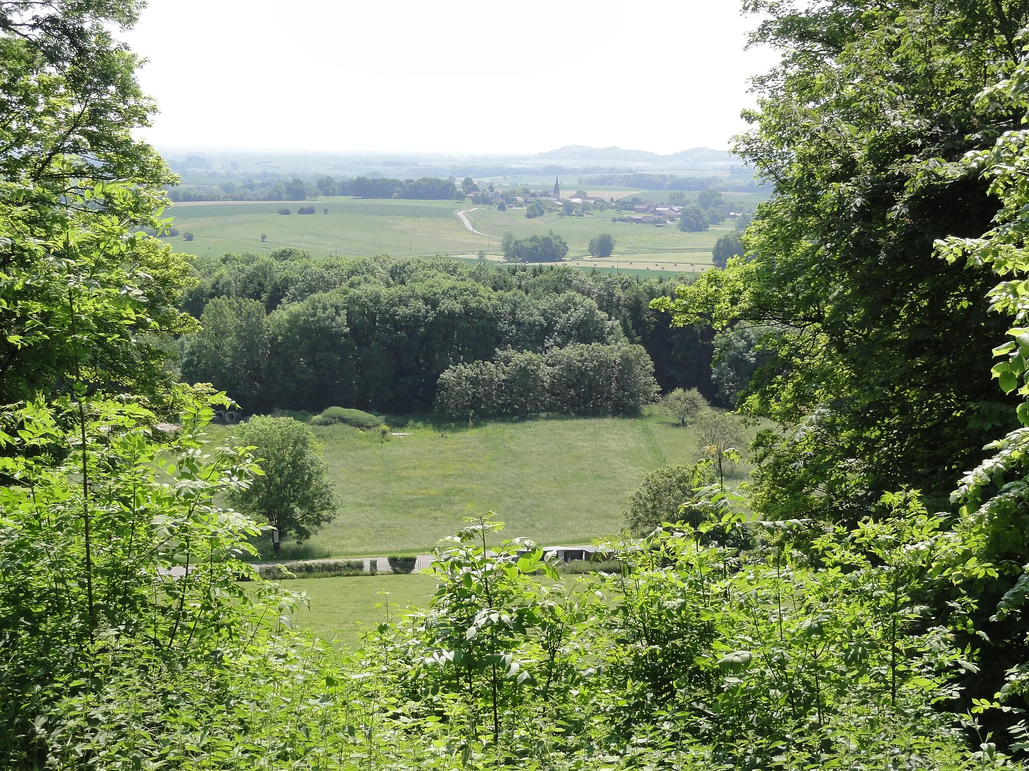 Photo showing: Mont Saint Bertauld, (Chaumont-Porcien), vue sur les environs