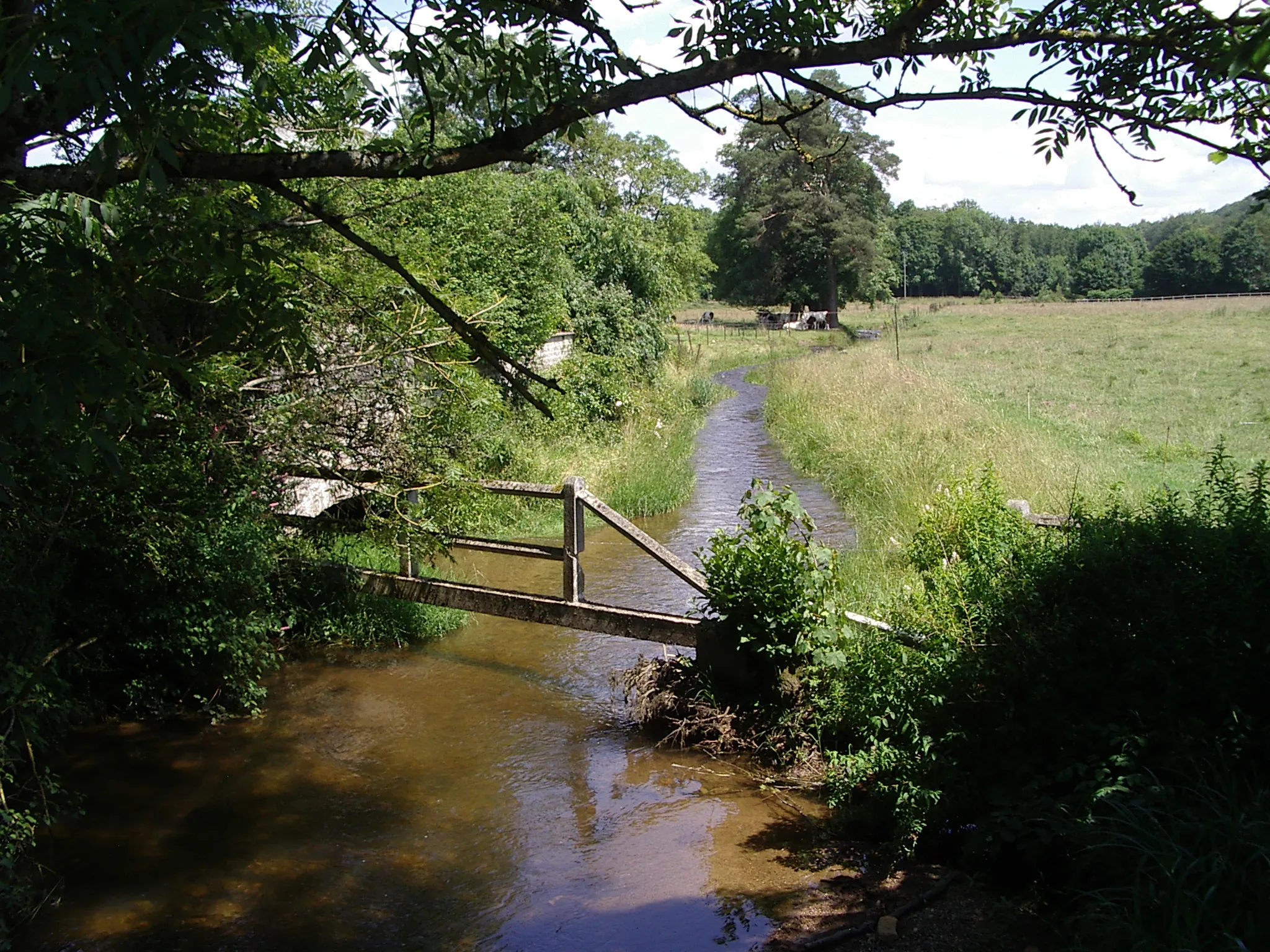 Photo showing: La Claire est une petite rivière française qui coule dans le département des Ardennes.